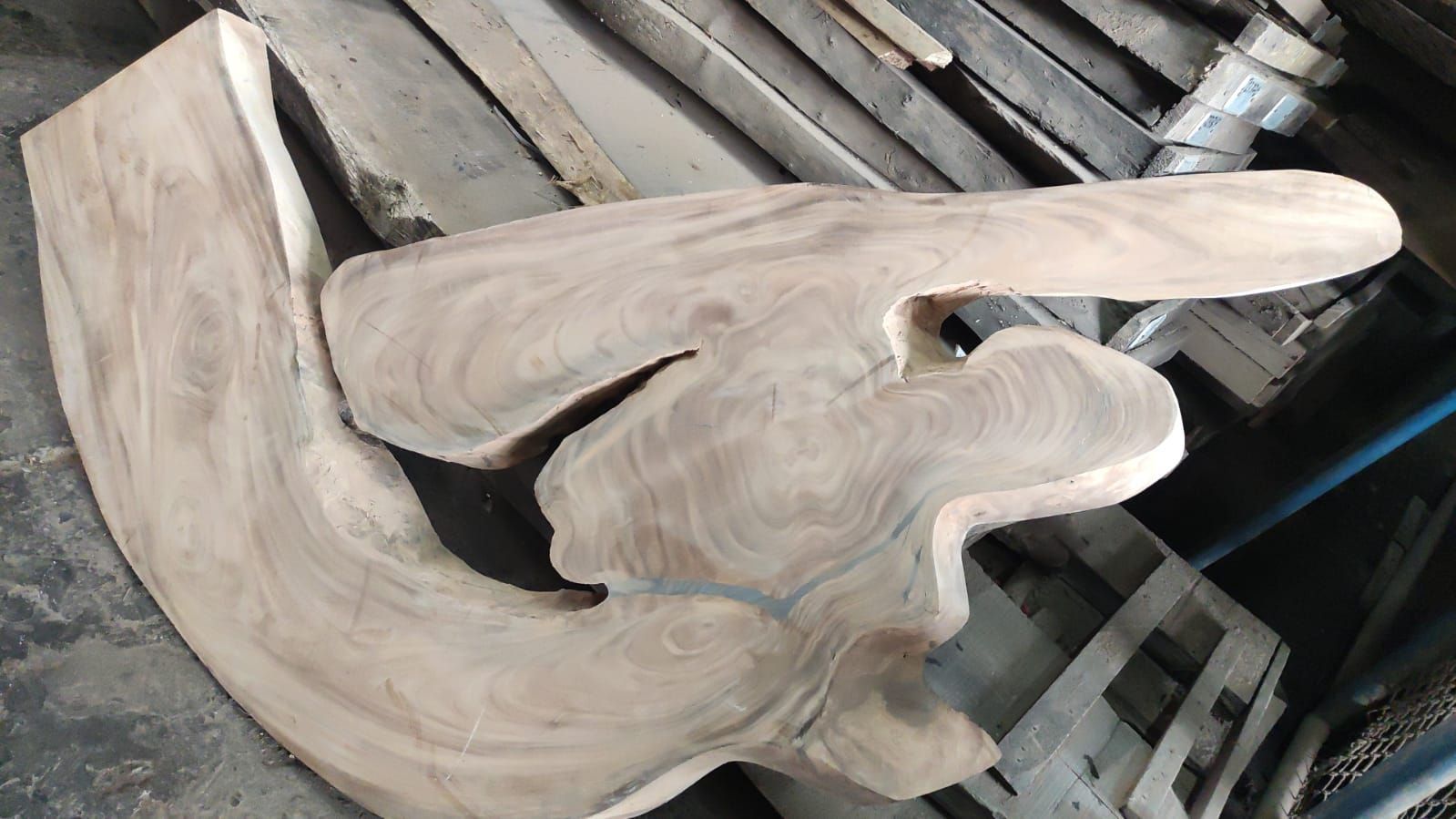 A large, irregularly shaped, light-colored wooden slab with prominent grain patterns, resting in a workshop.