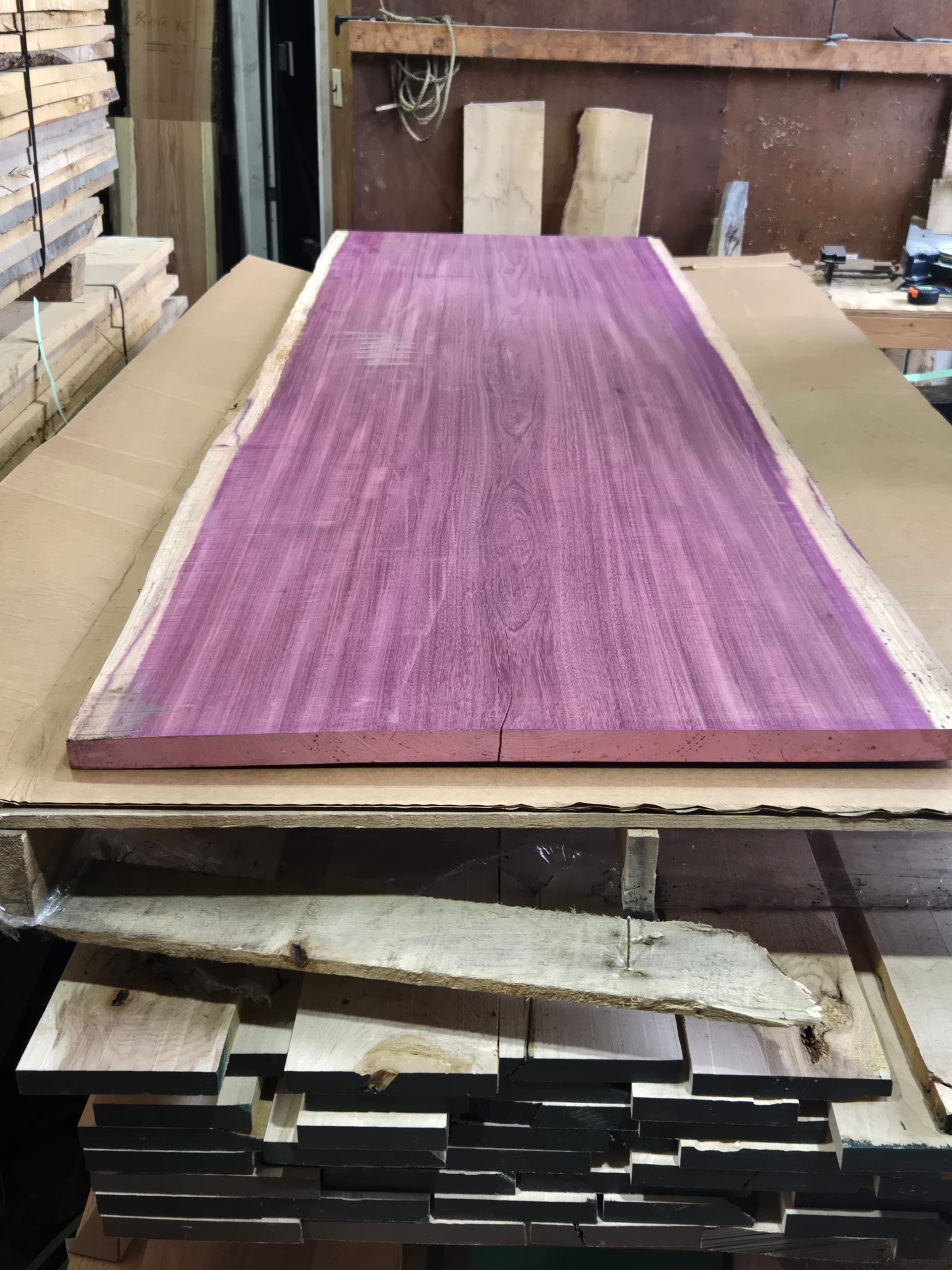 A long, flat board of vibrant purple wood resting on a workshop table surrounded by stacked lumber.