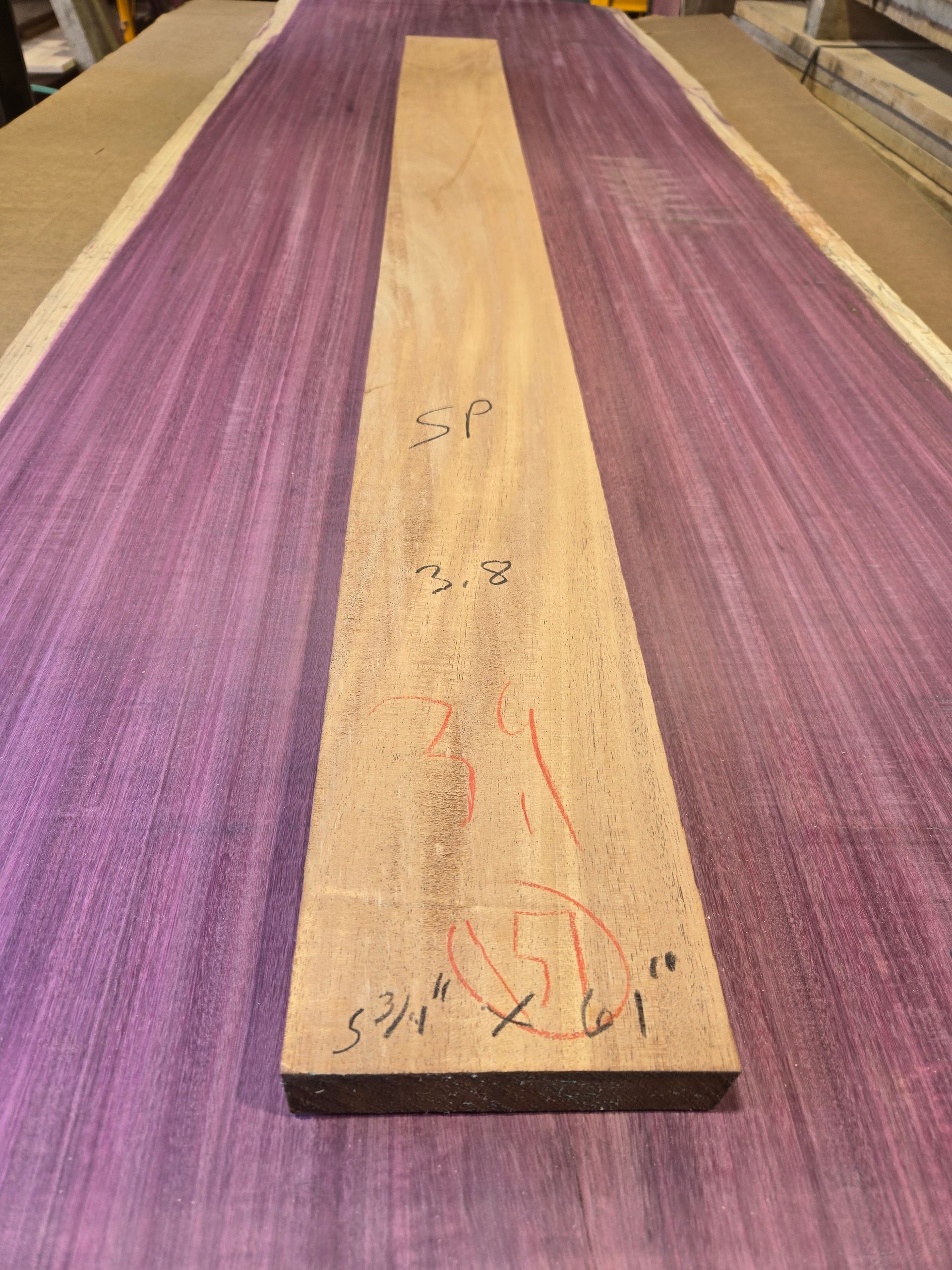 A long wooden board marked with dimensions rests on top of a wide, purple-colored sanding belt.