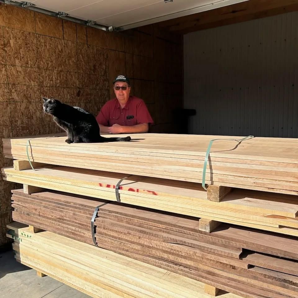 A cat sits on top of a large stack of plywood boards in a warehouse, with a person sitting in the background.