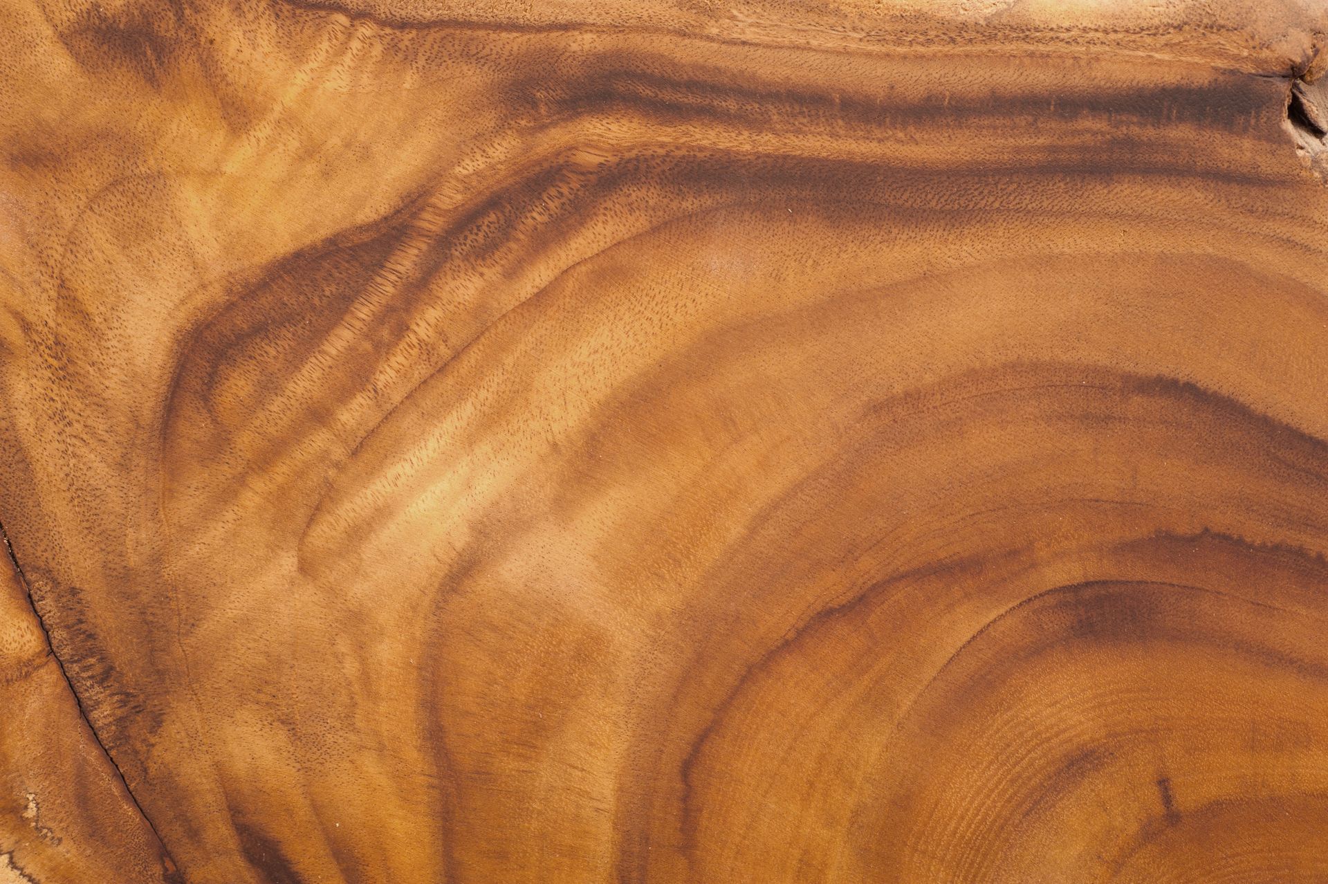 Close-up of polished light and dark brown wood grain with flowing, organic curved patterns.