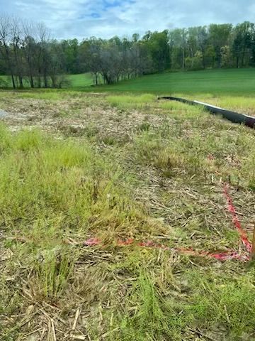 Grassy field with a pipe on the right. Pink markers outline a path through the overgrown vegetation. Trees in the background.