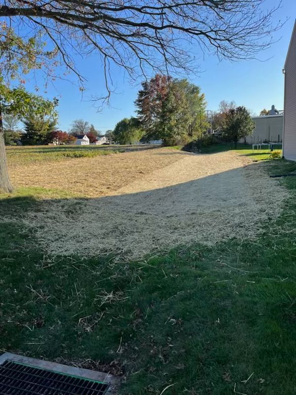 A grassy field transitioning to dry grass under a blue sky, with trees and a building in the background.