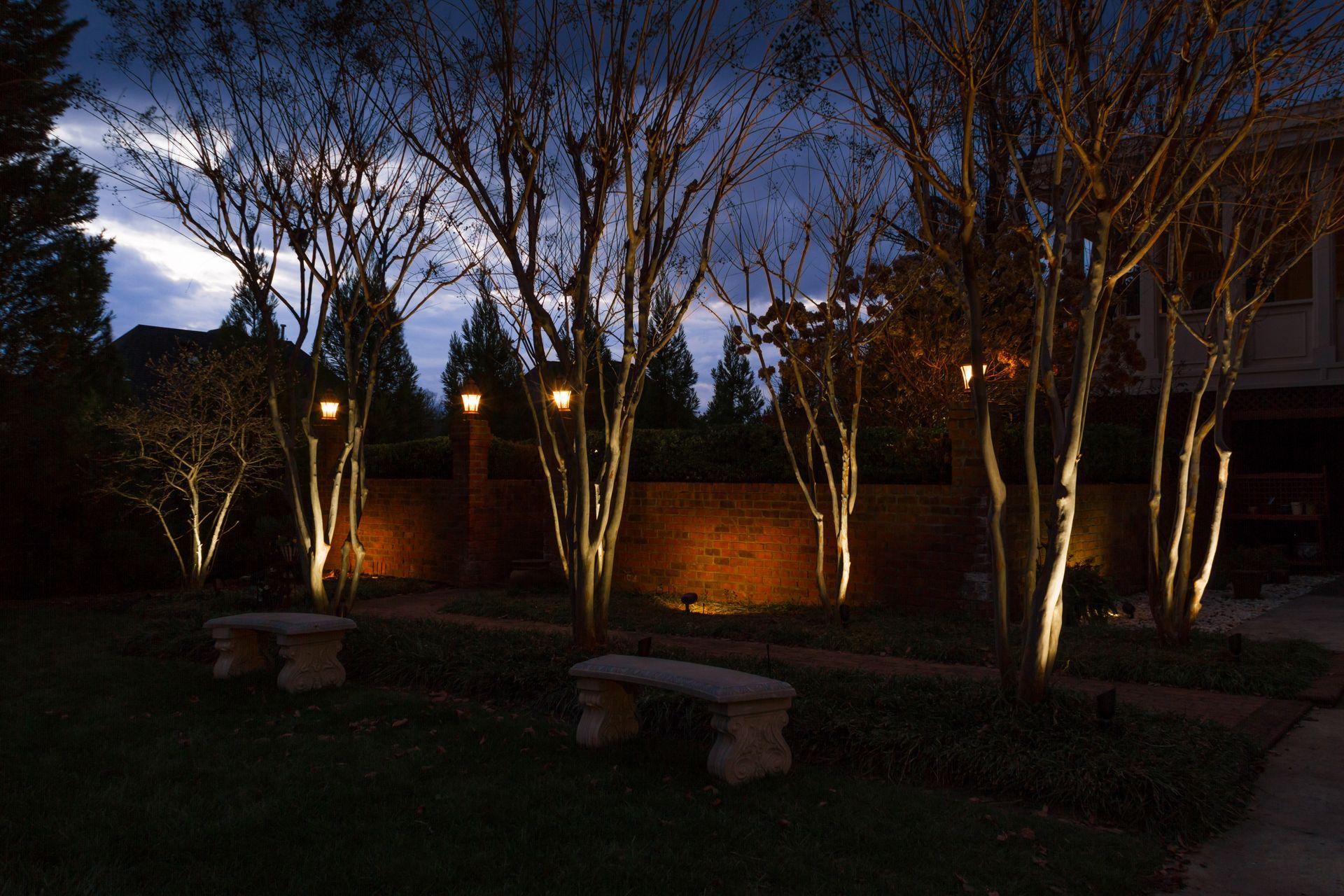 Trees illuminated by lights at night; stone benches sit in front.