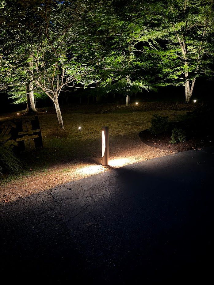 Pathway lit by bollard lights, illuminating trees at night.