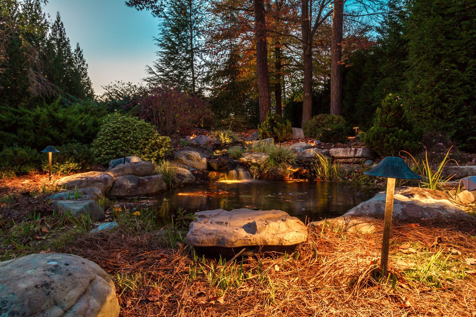 A lit pond with small waterfall, surrounded by rocks and vegetation, with trees in the background.