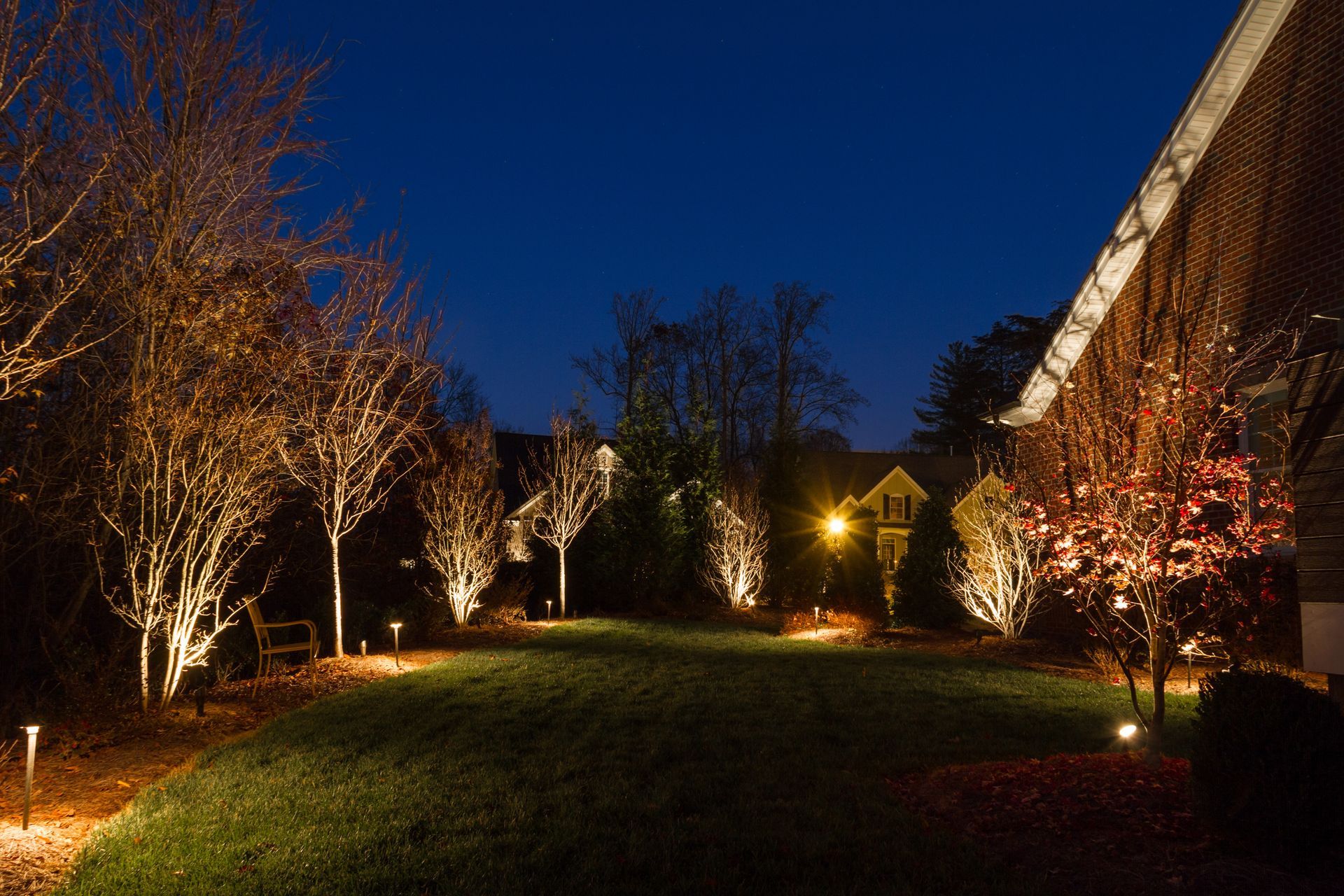 Night-lit backyard with trees and lawn, highlighting landscaping.