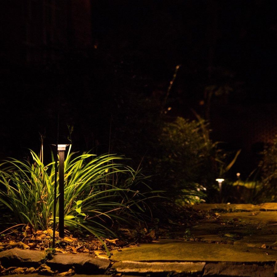 Pathway illuminated by solar lights, highlighting plants and steps at night.