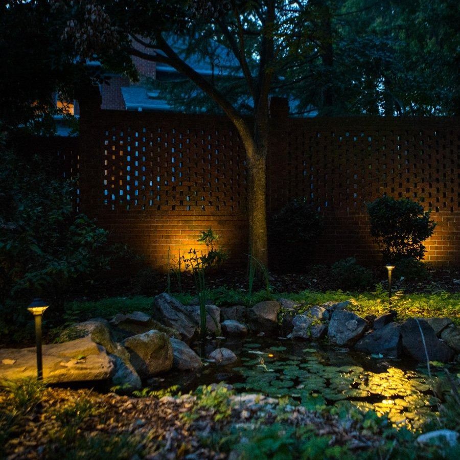 A nighttime garden scene with a pond, spotlighting a brick wall and foliage.