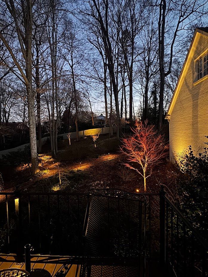 Backyard at dusk, with trees and a house lit by warm landscape lighting.