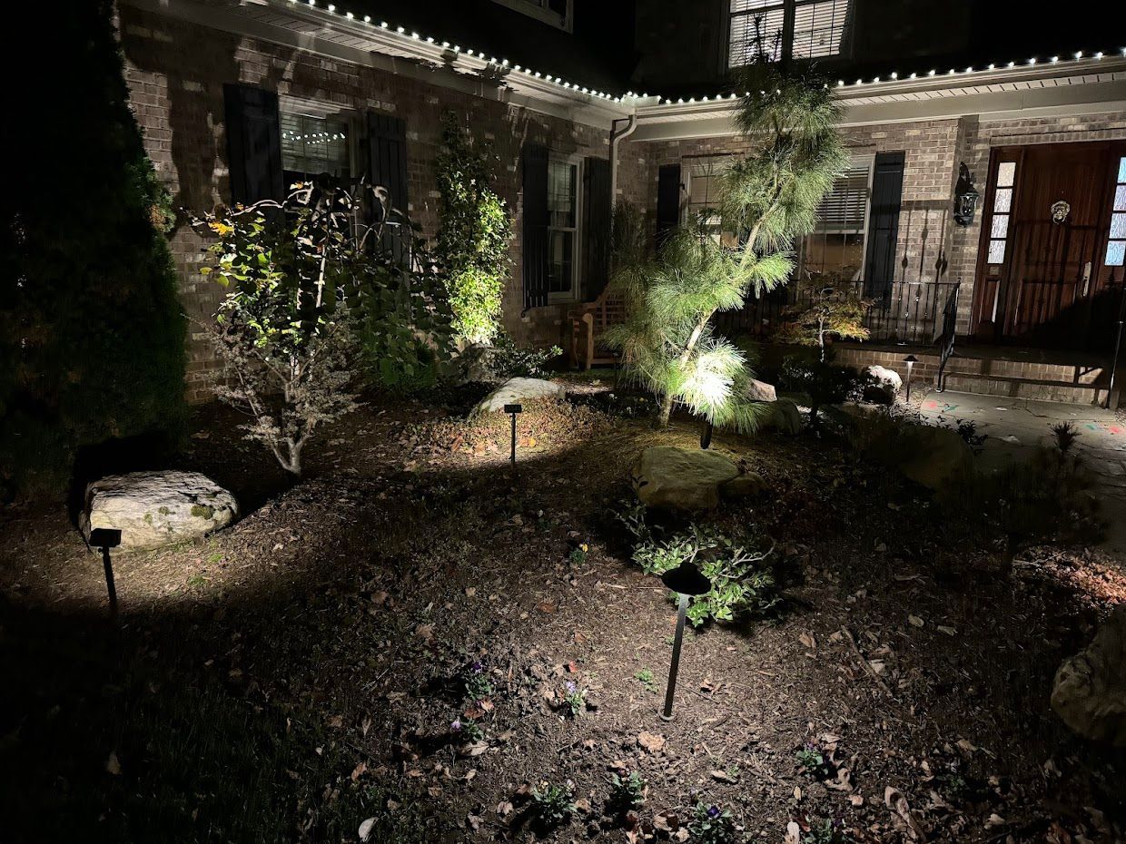 Lit landscaping at night: spotlighted plants, mulch ground cover, and brick house.