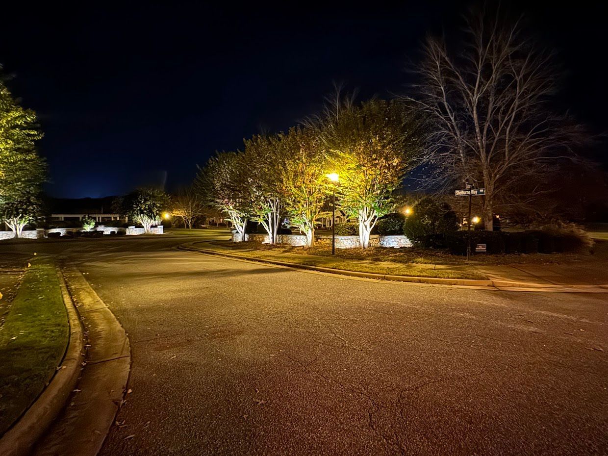 Night scene of lit trees along a curved road, with a dark sky above.