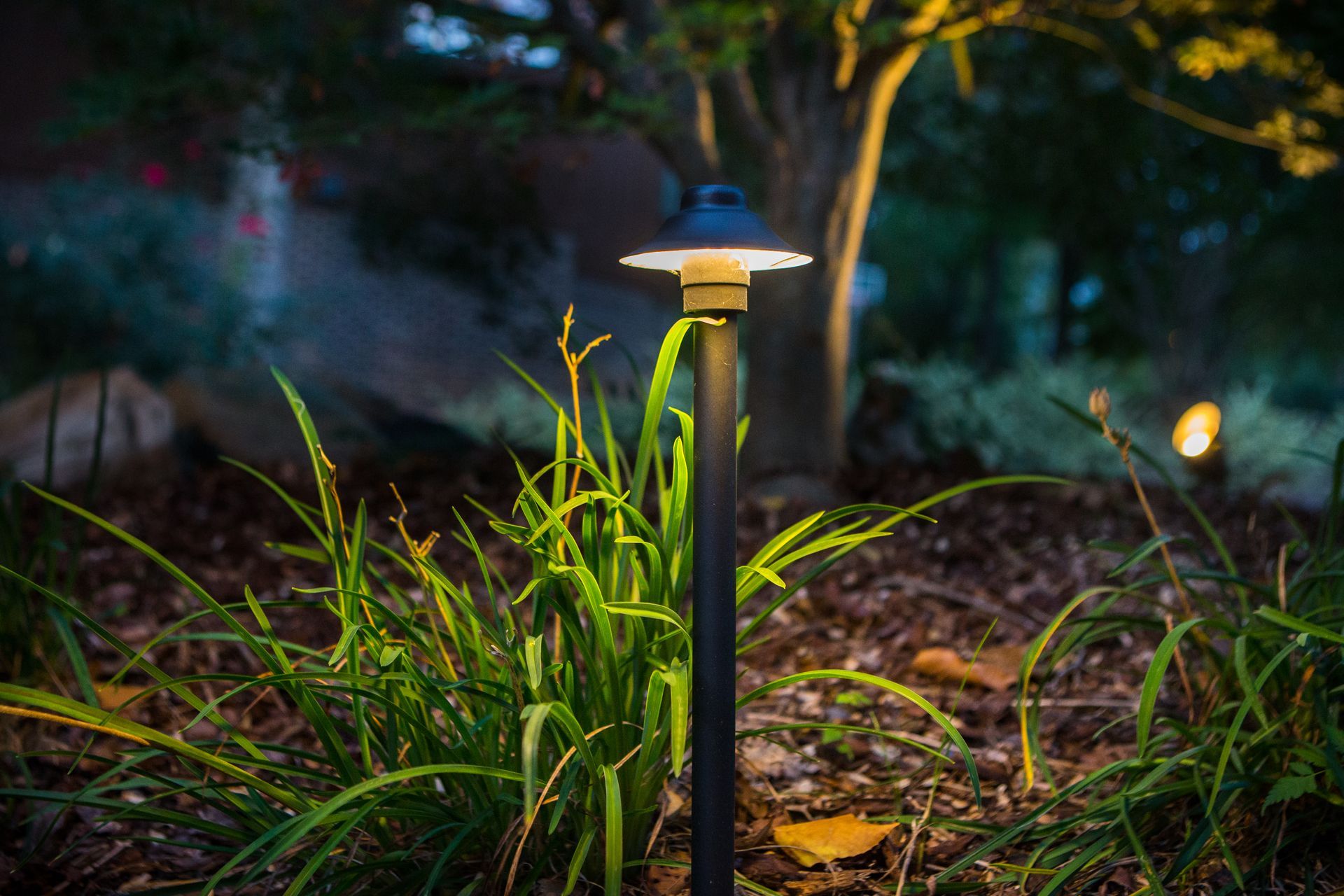 Black garden lamp illuminating plants in a landscaped yard at night.