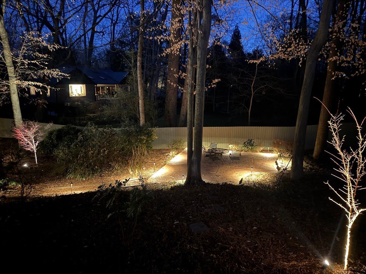 Nighttime view of a wooded area illuminated with landscape lighting. A building is visible in the background.