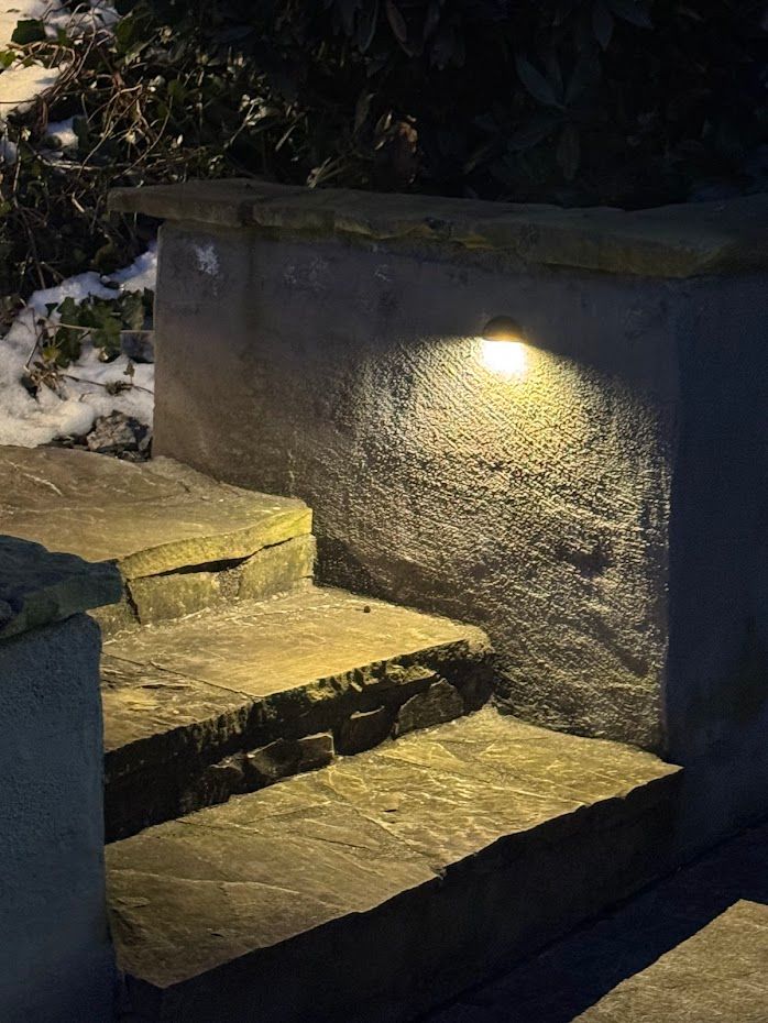 Stone steps and wall lit by a warm light. Snow on steps and near bushes at night.