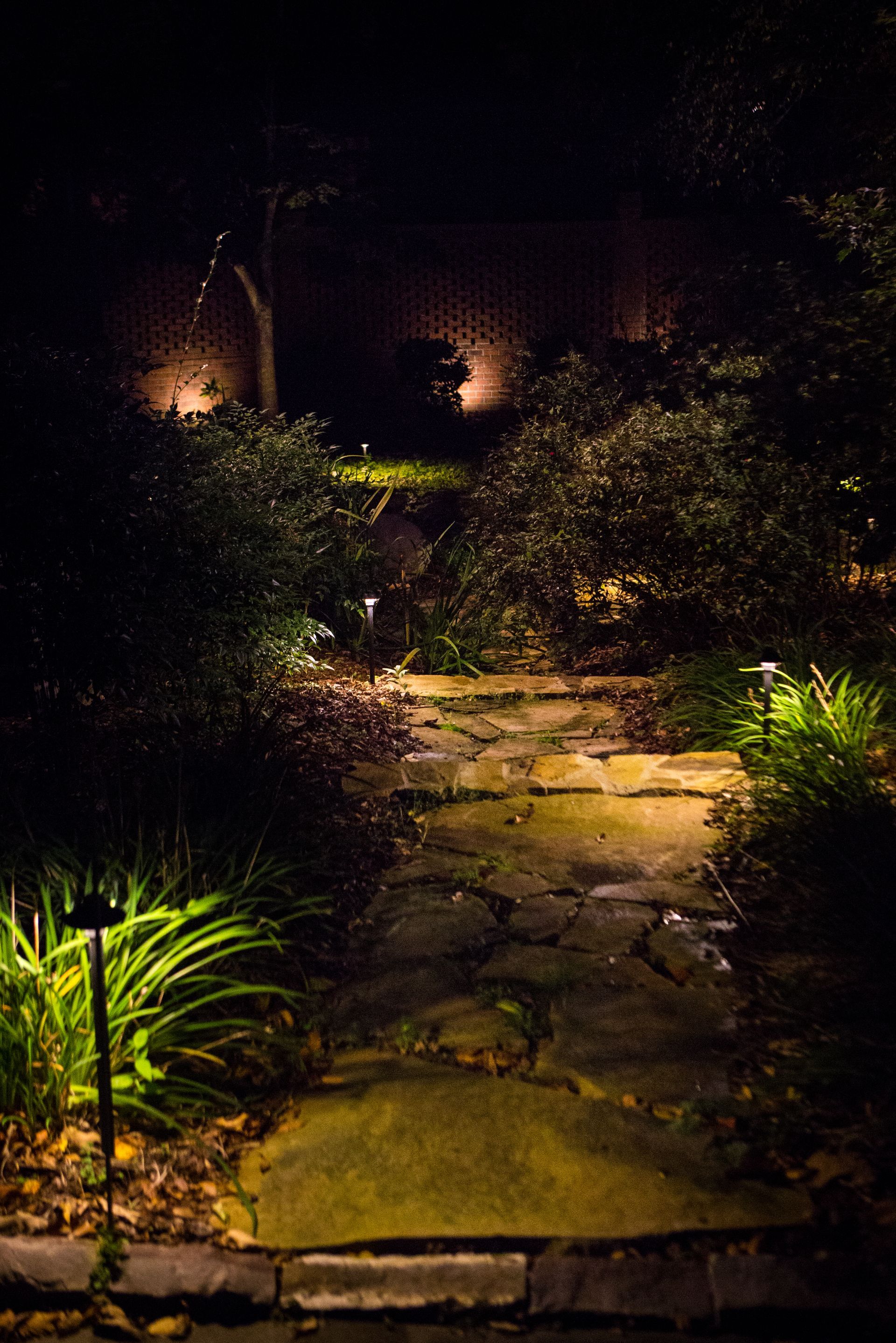 Stone pathway through a garden at night, illuminated by spotlights.