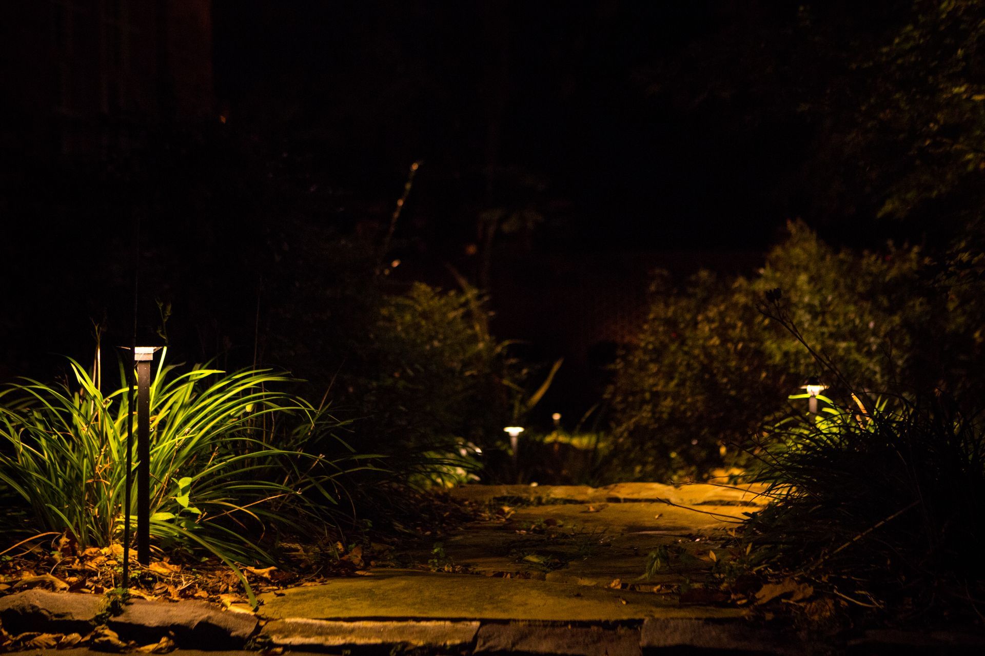 Path lit by solar lights at night, surrounded by bushes and foliage.