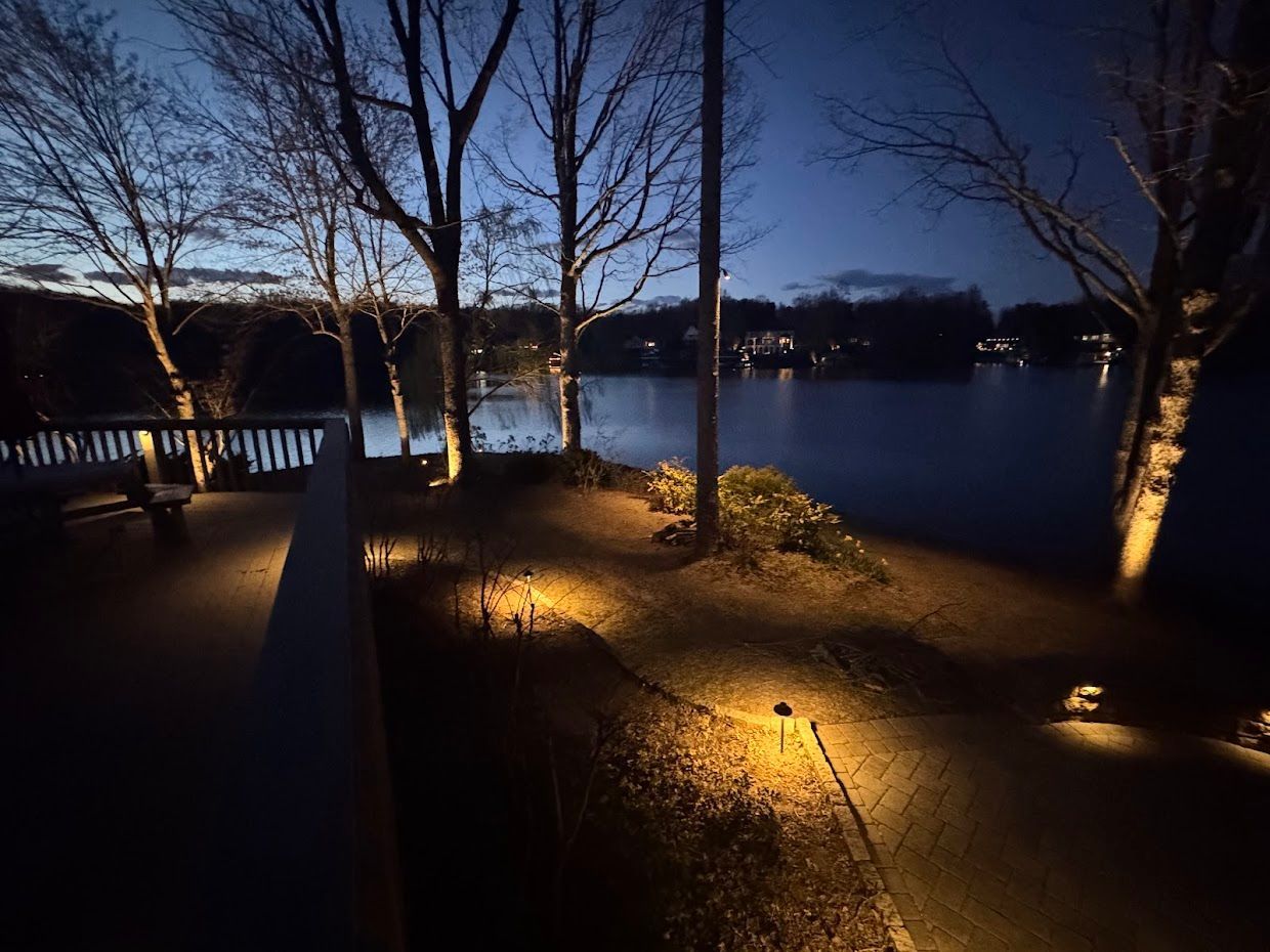 Night view of lakefront with landscape lighting illuminating trees and shoreline.