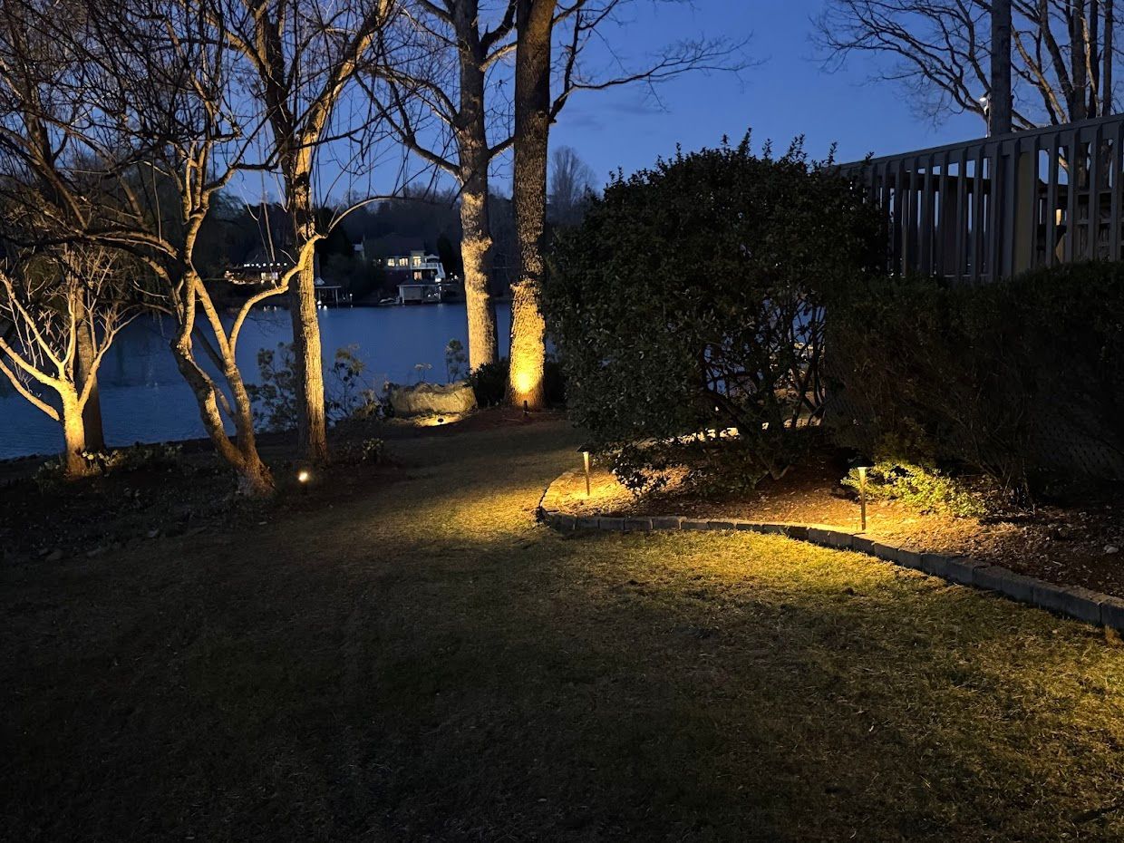 Night view of a yard with illuminated trees, bushes, and lawn, near a lake.