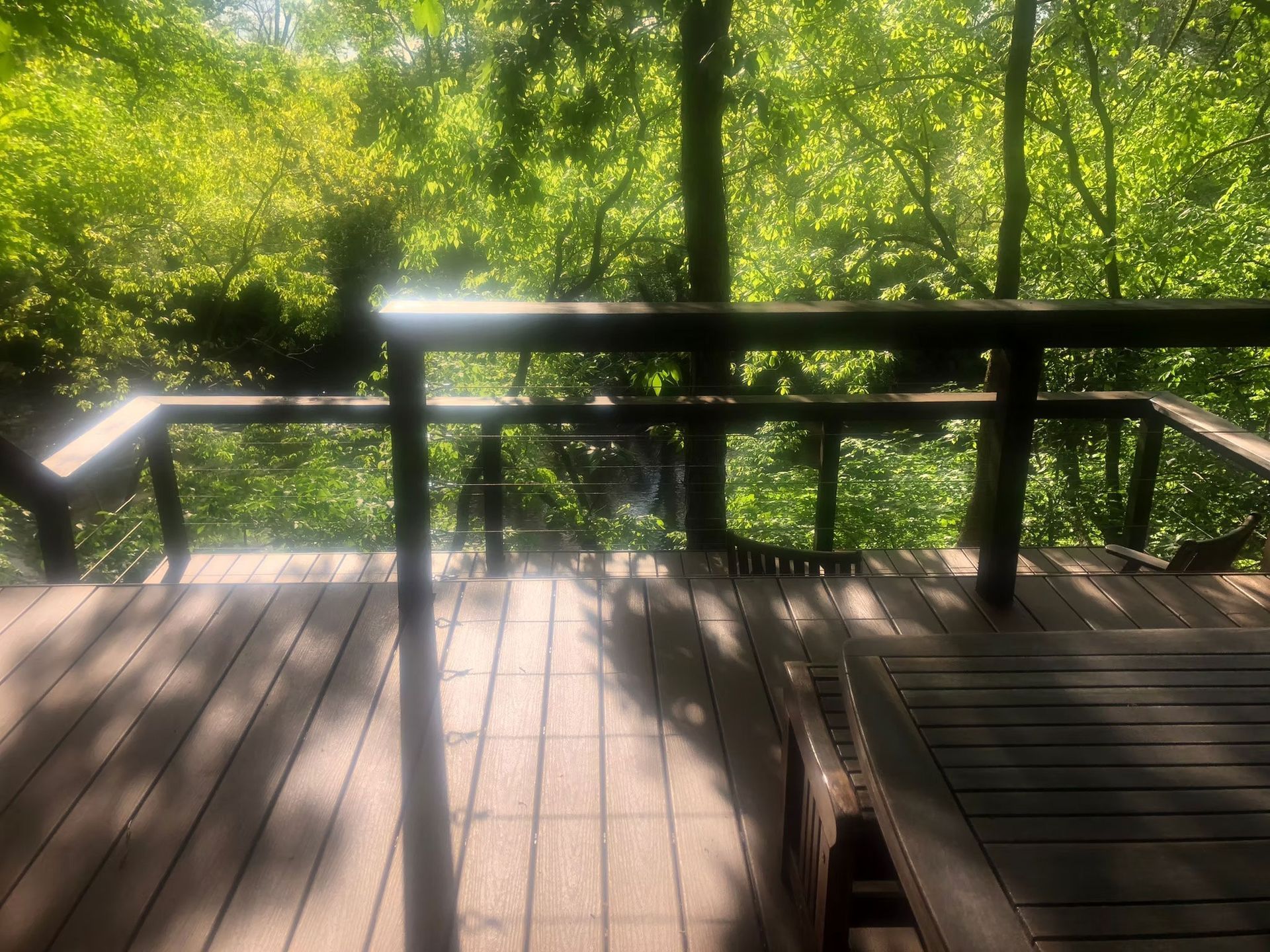 A wooden deck with railing overlooks a bright, leafy forest, with sunlight casting long shadows across the floorboards.