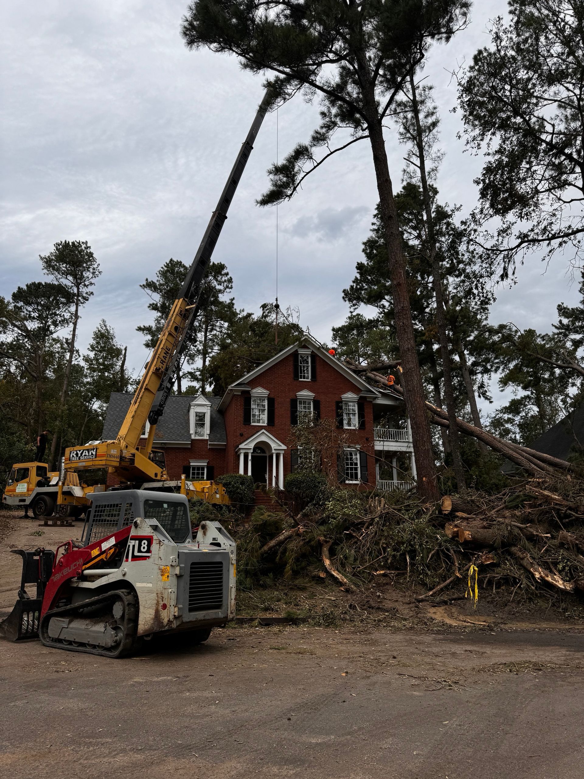 A crane is lifting a tree in front of a house.