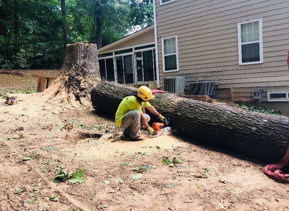 A man is cutting a large log with a chainsaw in front of a house.
