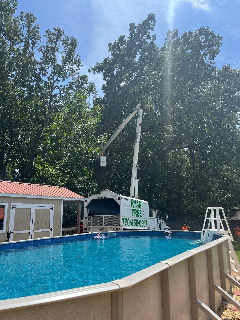 A crane is lifting a tree over a swimming pool.