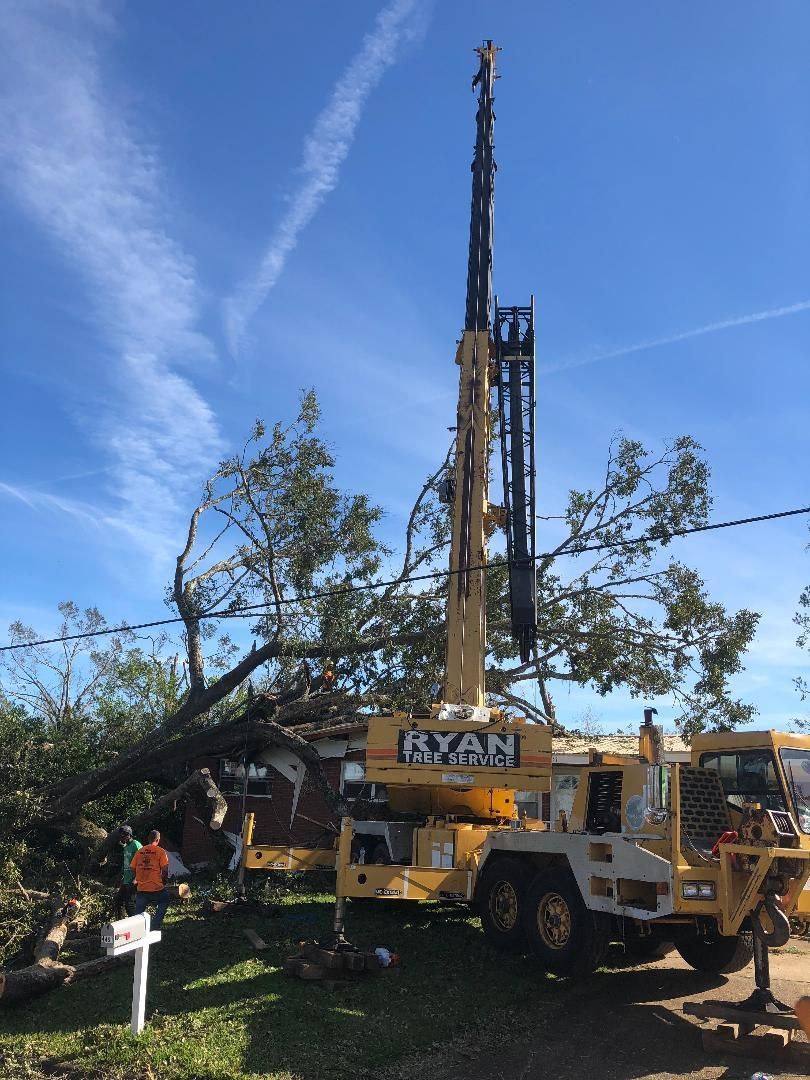 A yellow truck with a crane attached to it is parked next to a tree.
