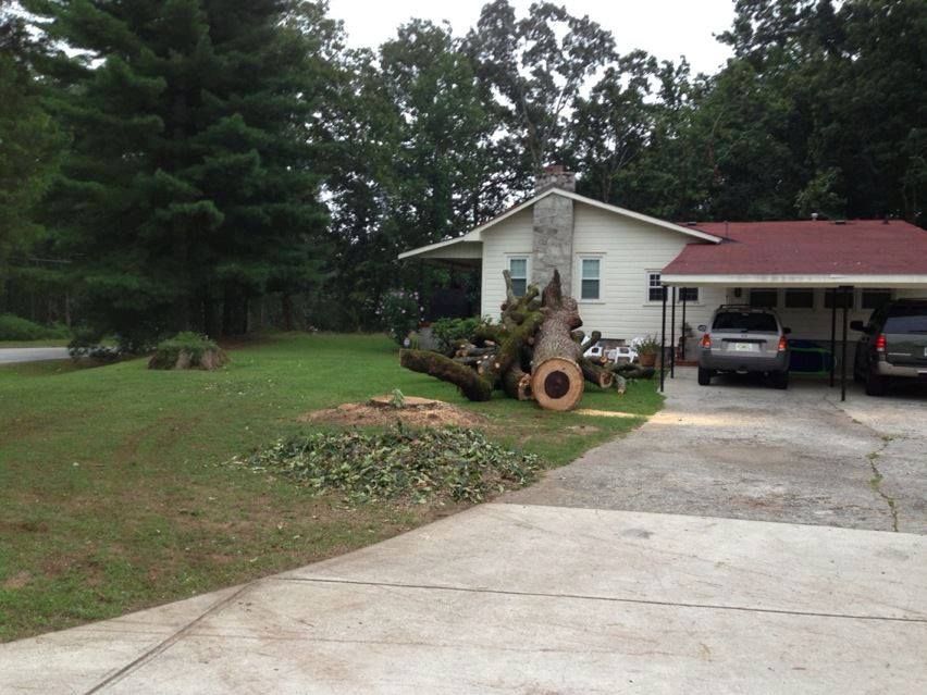 A white house with a red roof is surrounded by trees