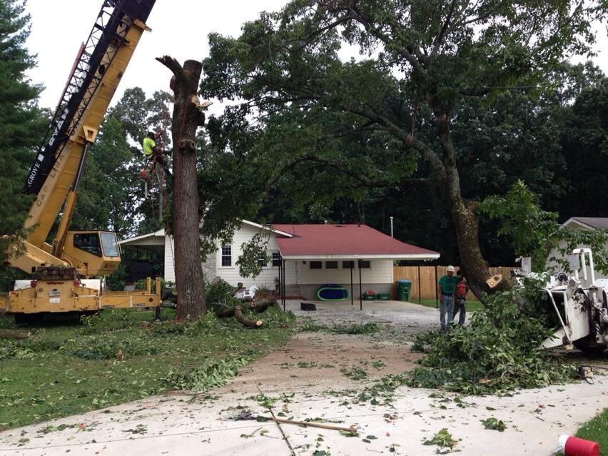 A crane is cutting down a tree in front of a house