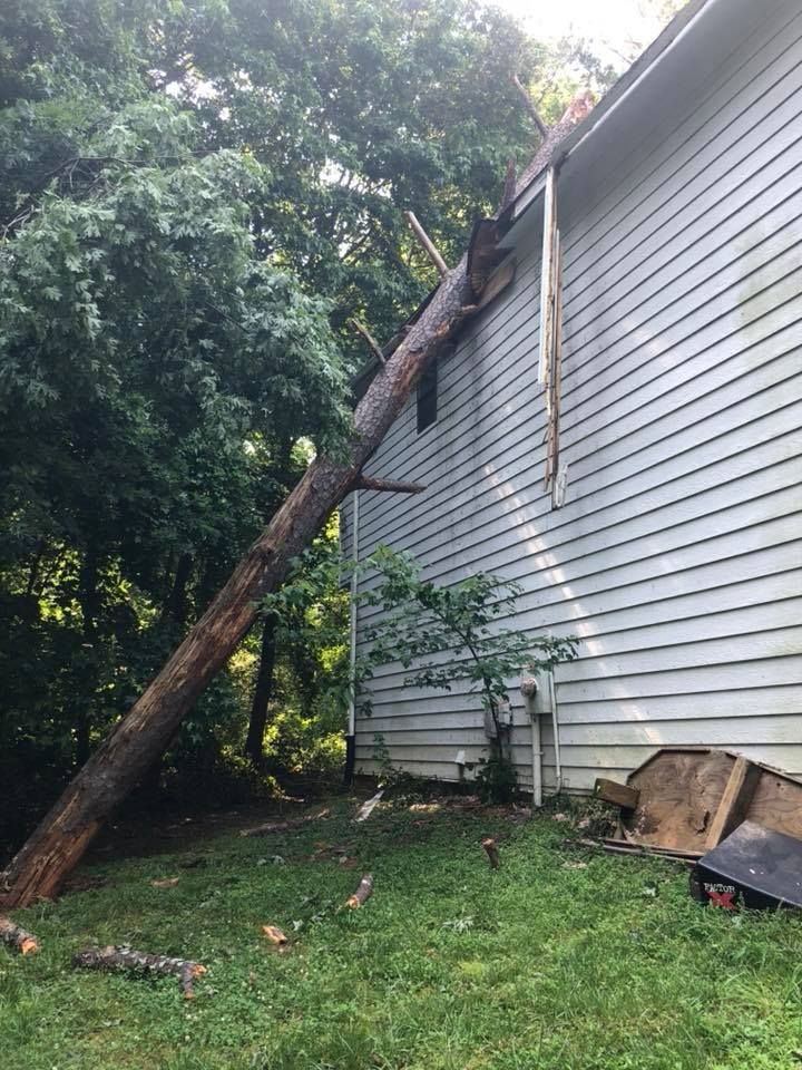 A tree has fallen on the side of a house.