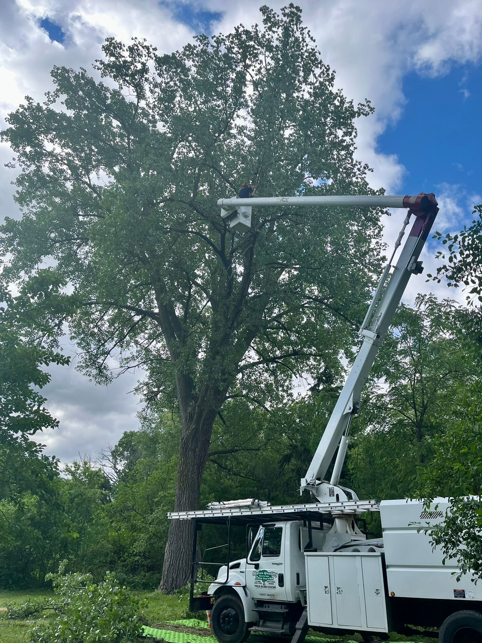 A white truck with a crane attached to it is cutting a tree.