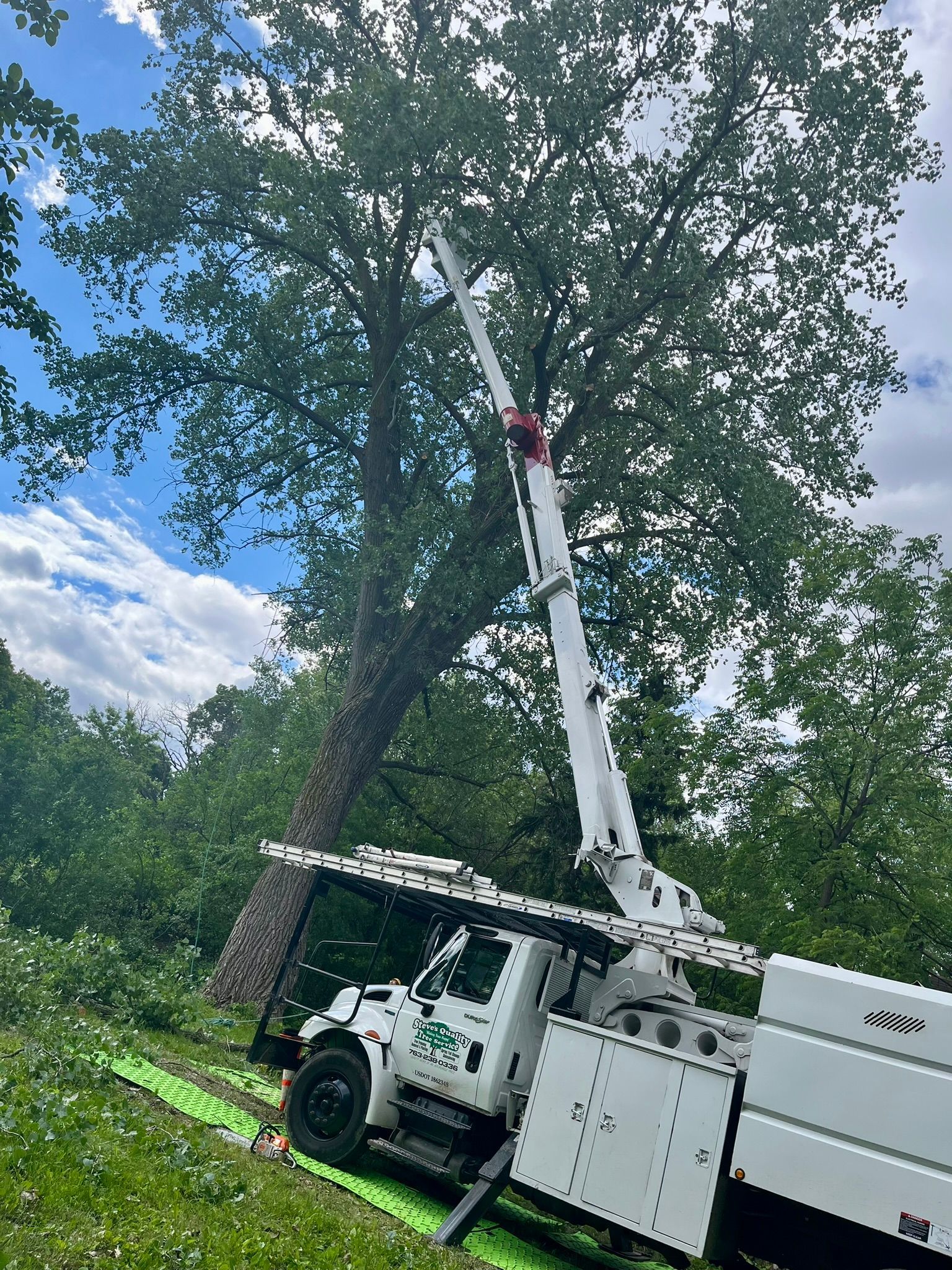 A white truck with a crane attached to it is cutting a tree.