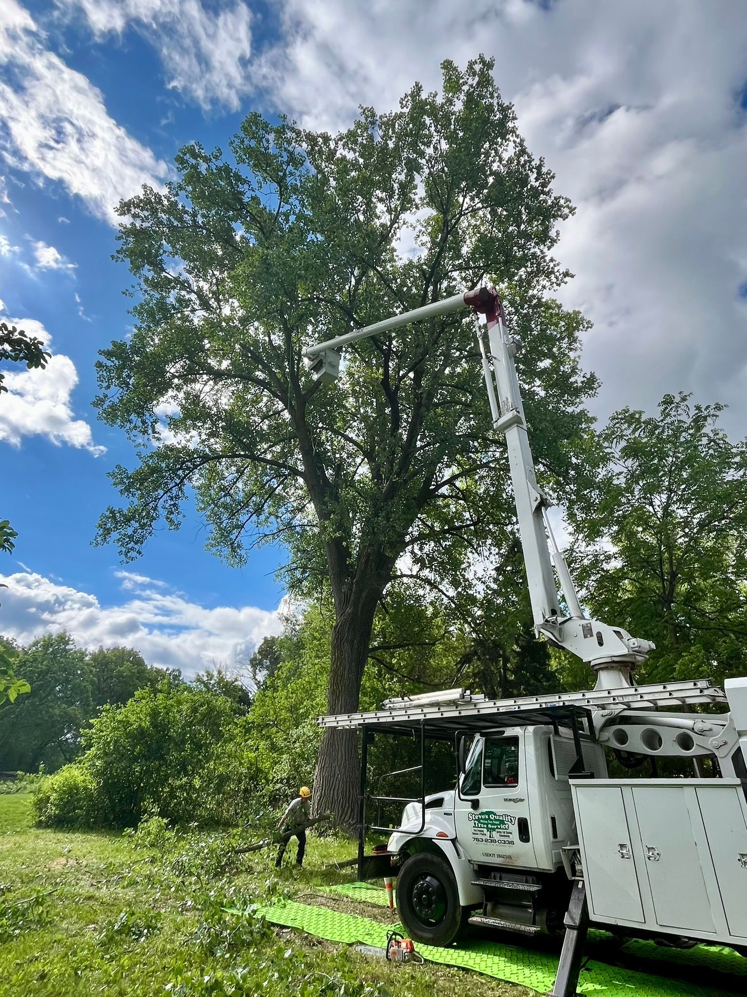 A tree cutting truck is cutting a tree in a field.