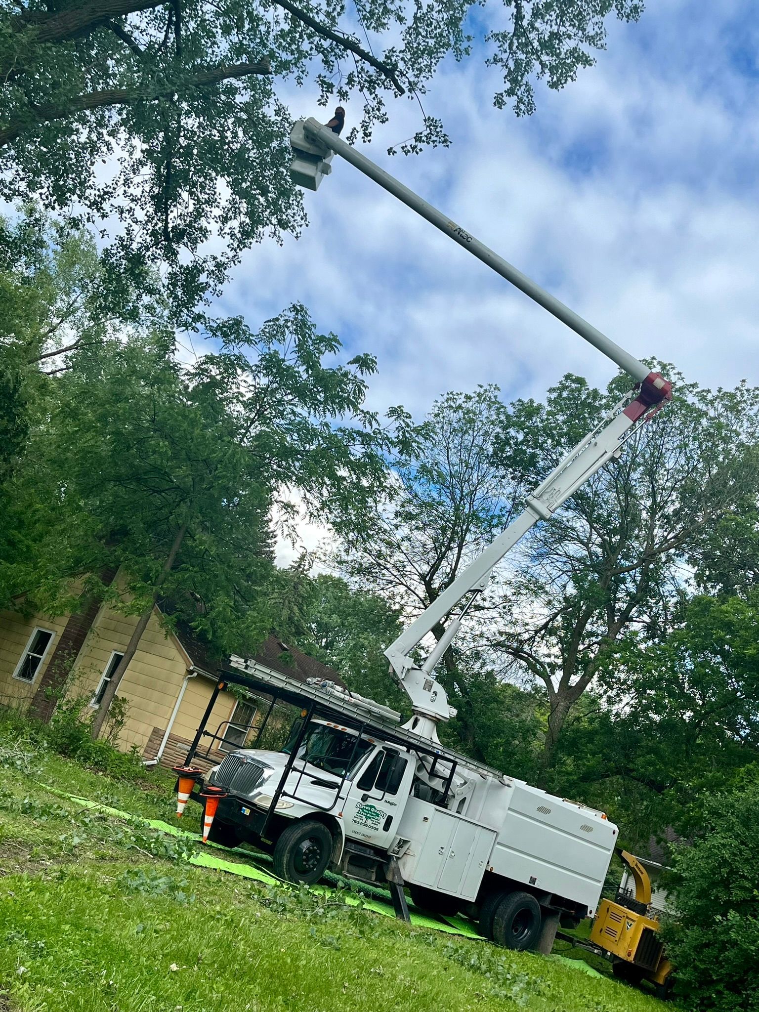 A white truck with a crane on top of it is cutting a tree.