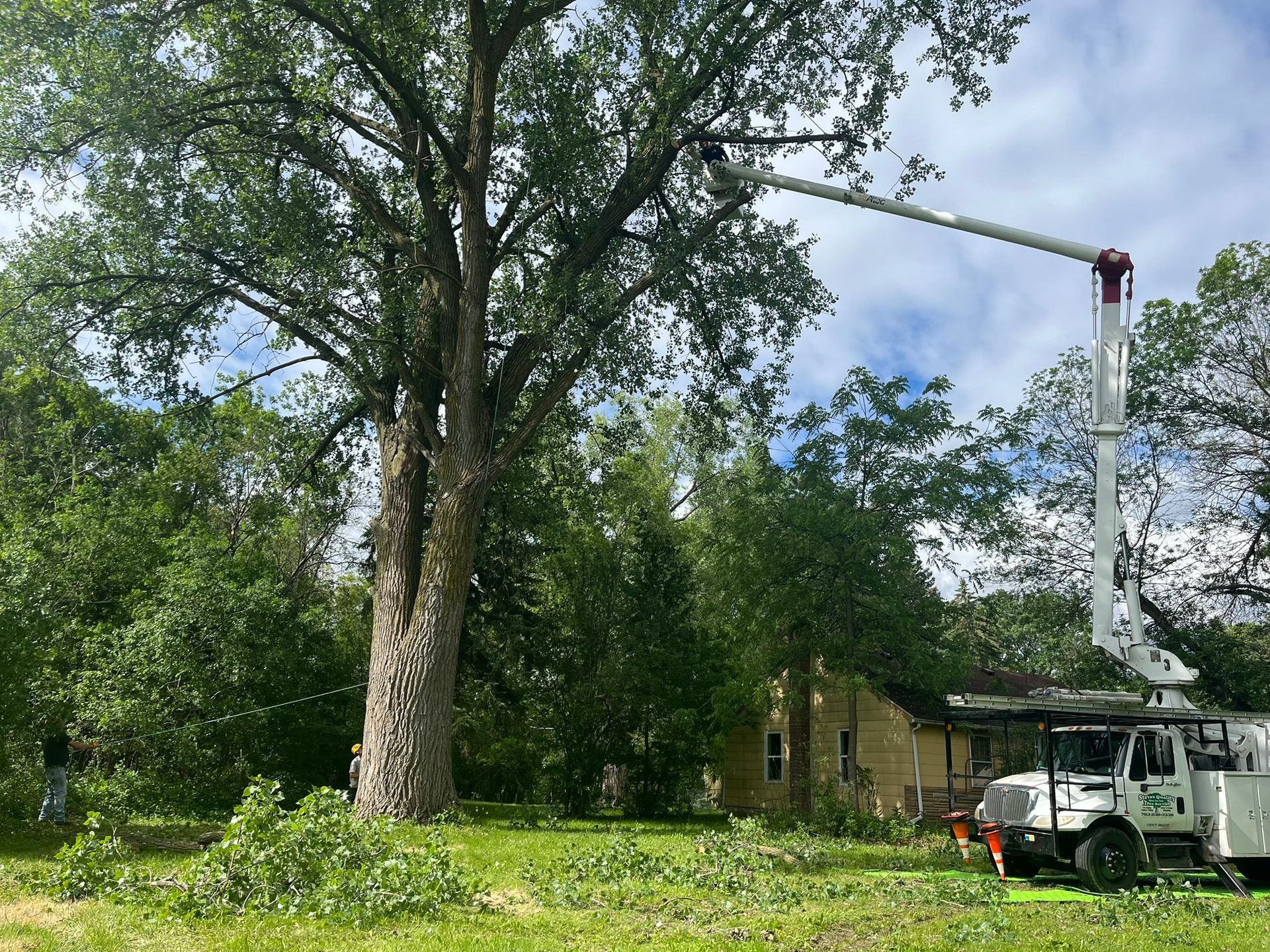 A white truck is parked in a grassy field next to a large tree.