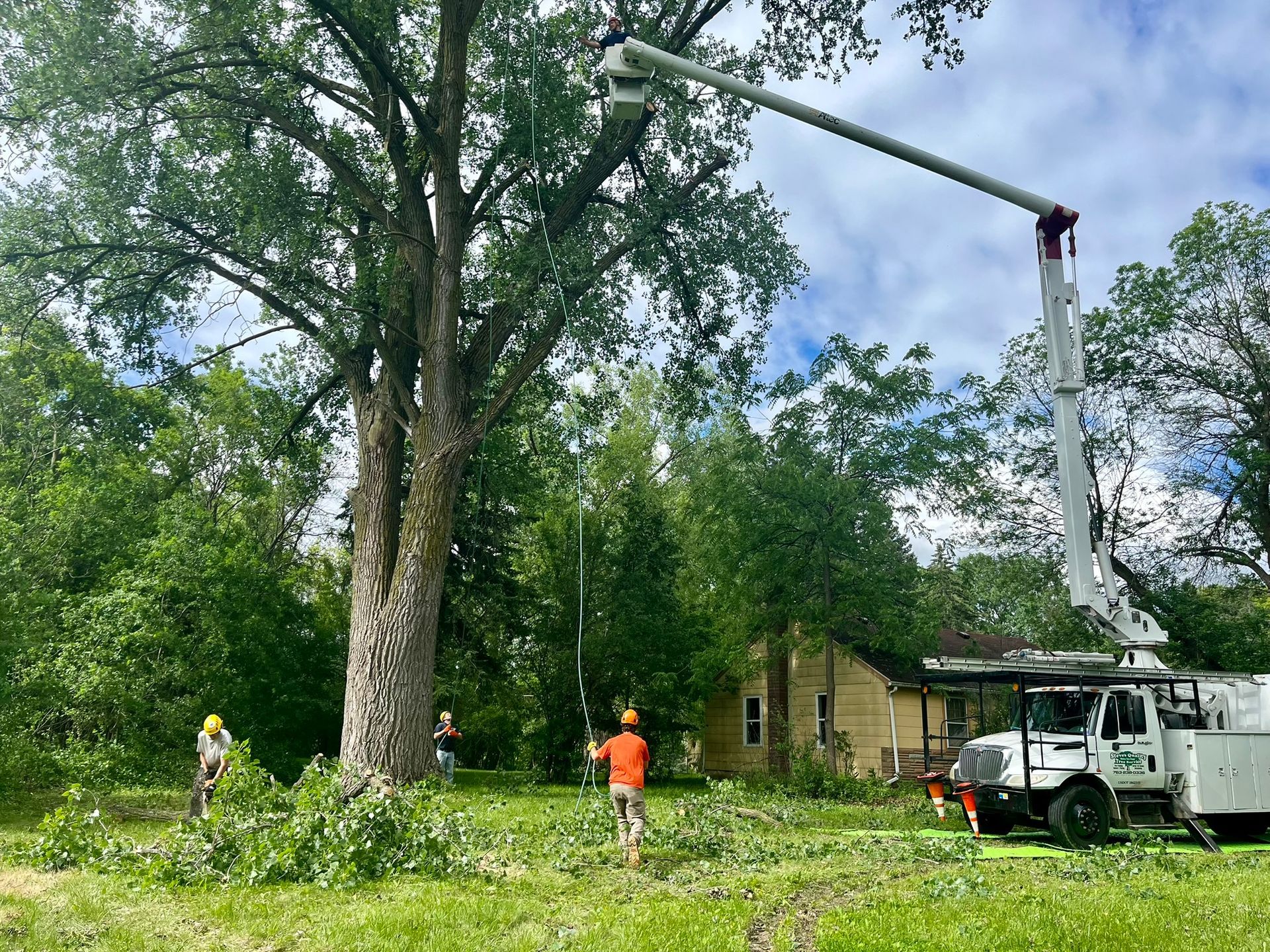 A tree being cut down by a crane in a field.