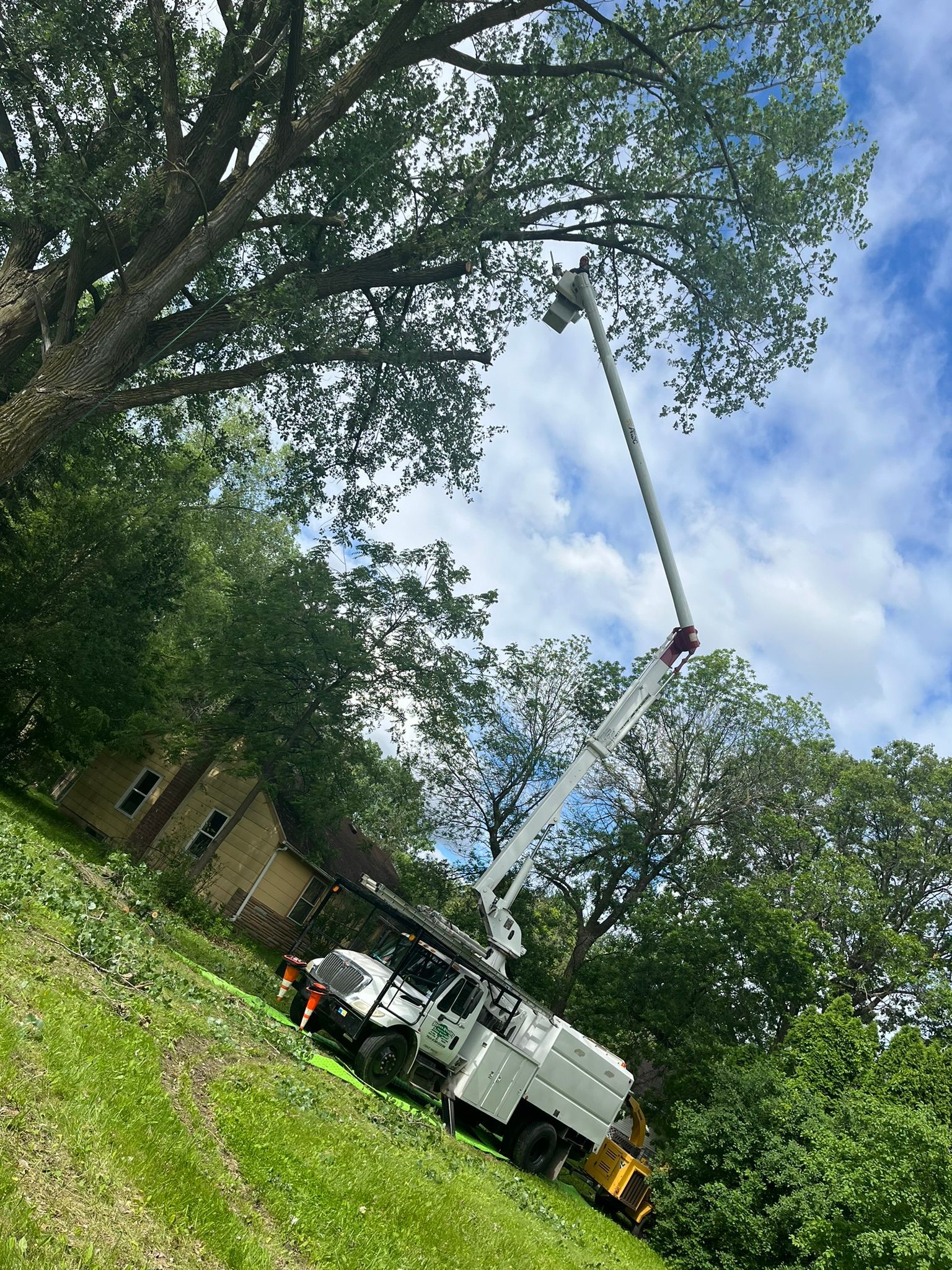 A crane is cutting a tree in a yard.