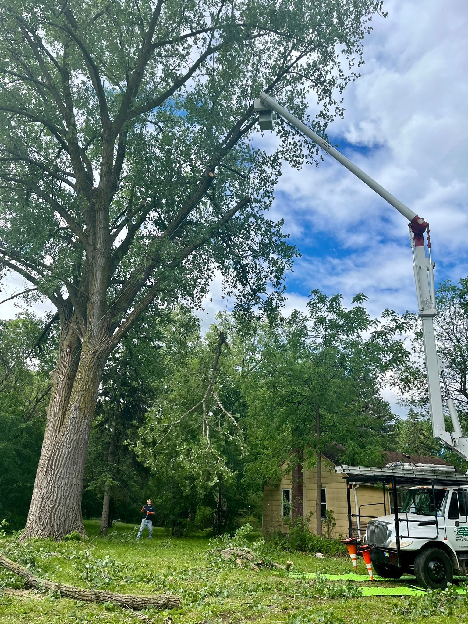 A crane is cutting a tree in a yard.