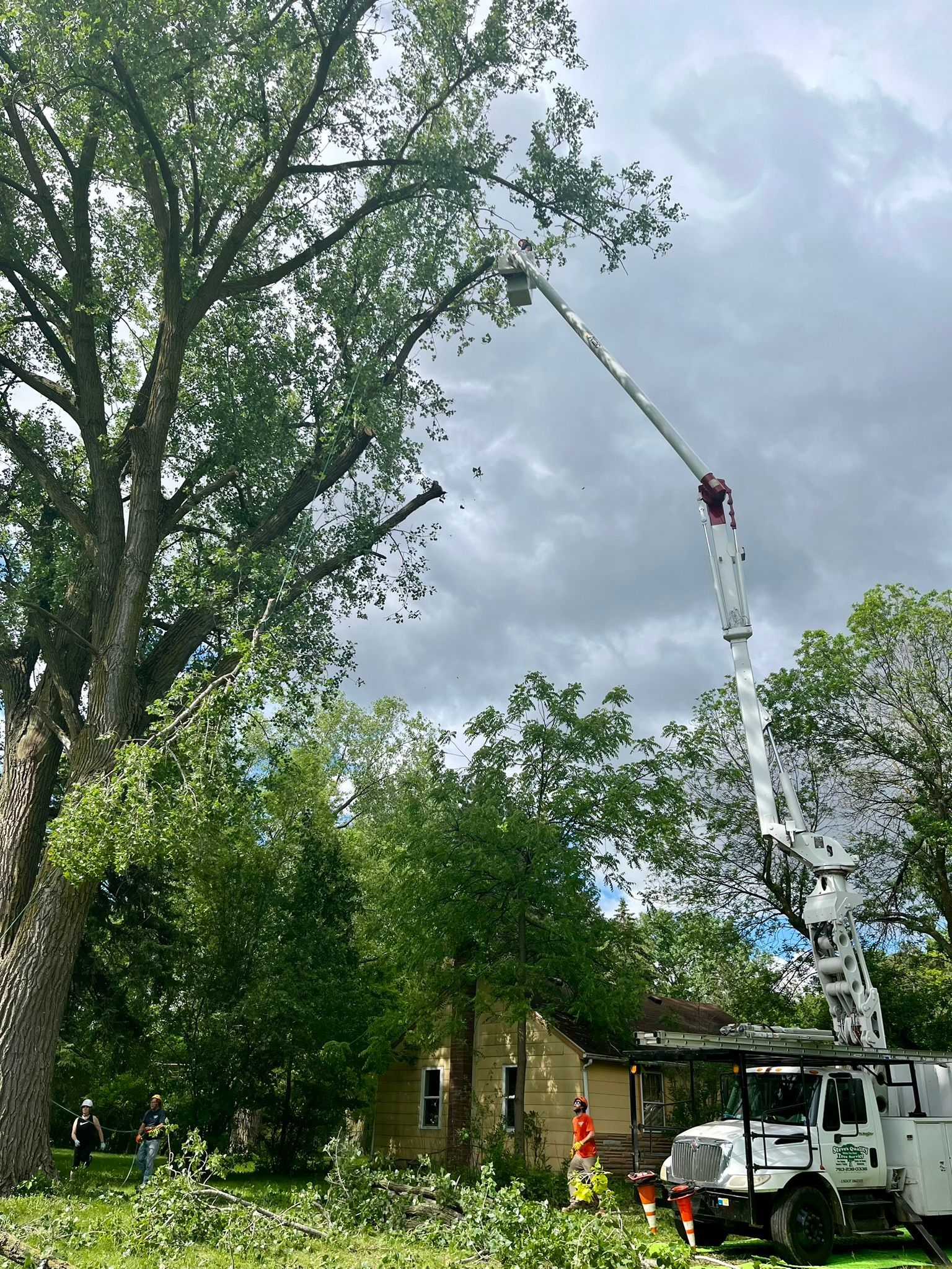 A man is cutting a tree with a crane in a yard.
