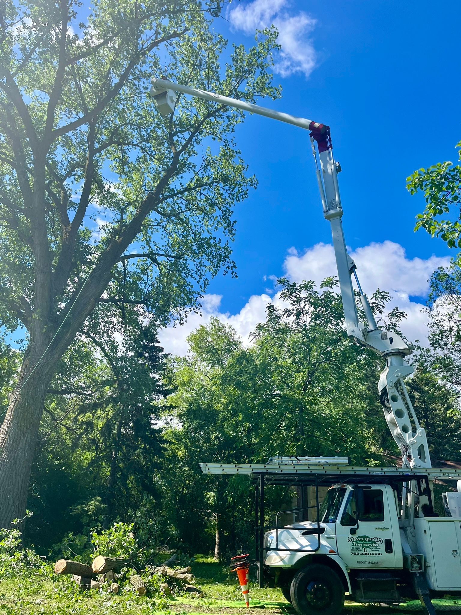 A white truck with a crane attached to it is cutting a tree.
