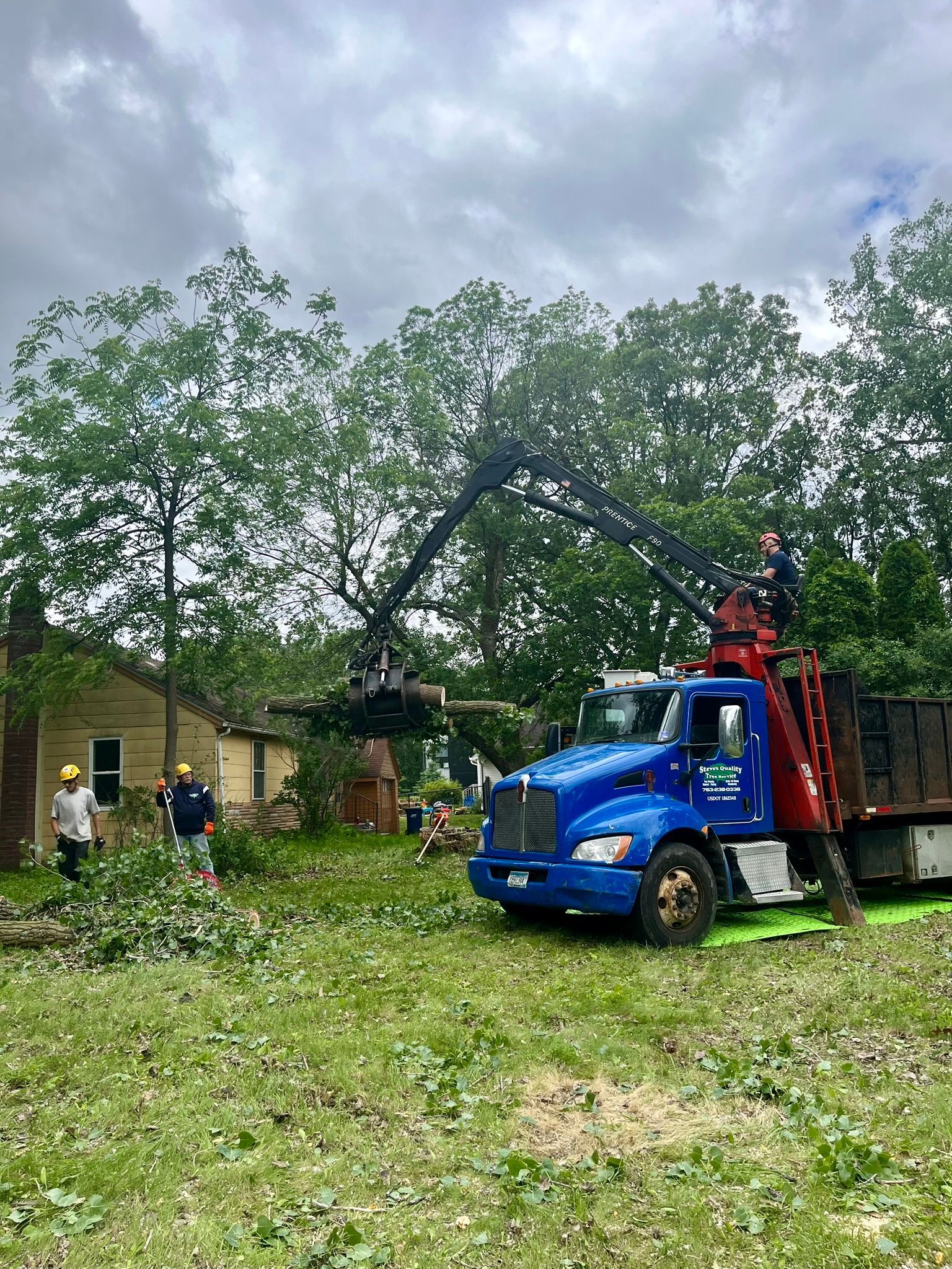 A blue truck with a crane attached to it is cutting down a tree.