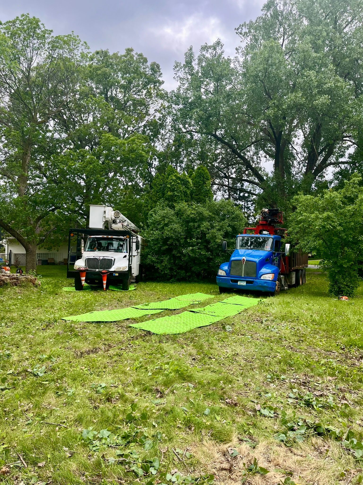 Two trucks are parked in a grassy field.