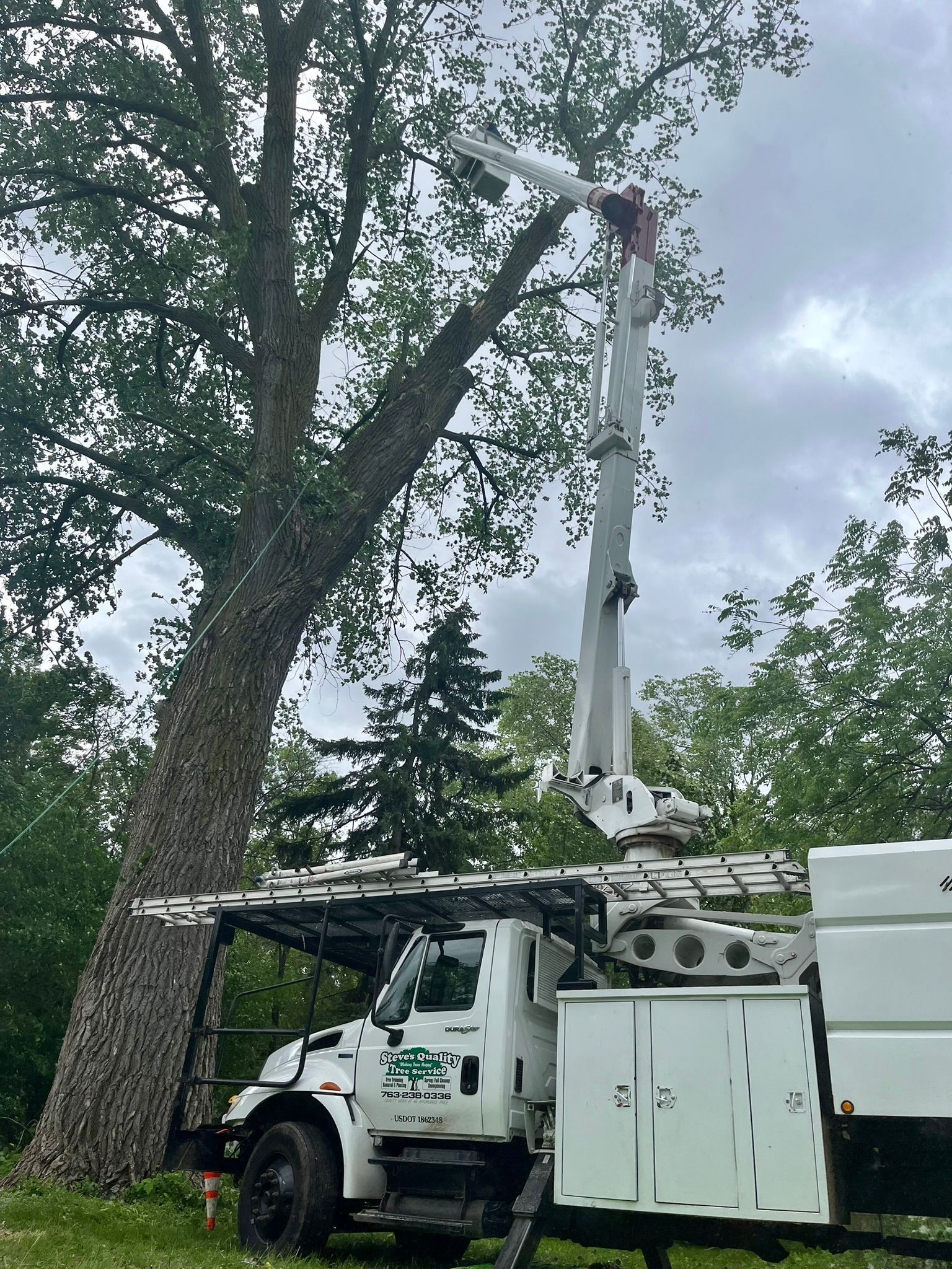 A white truck with a crane attached to it is cutting a tree.