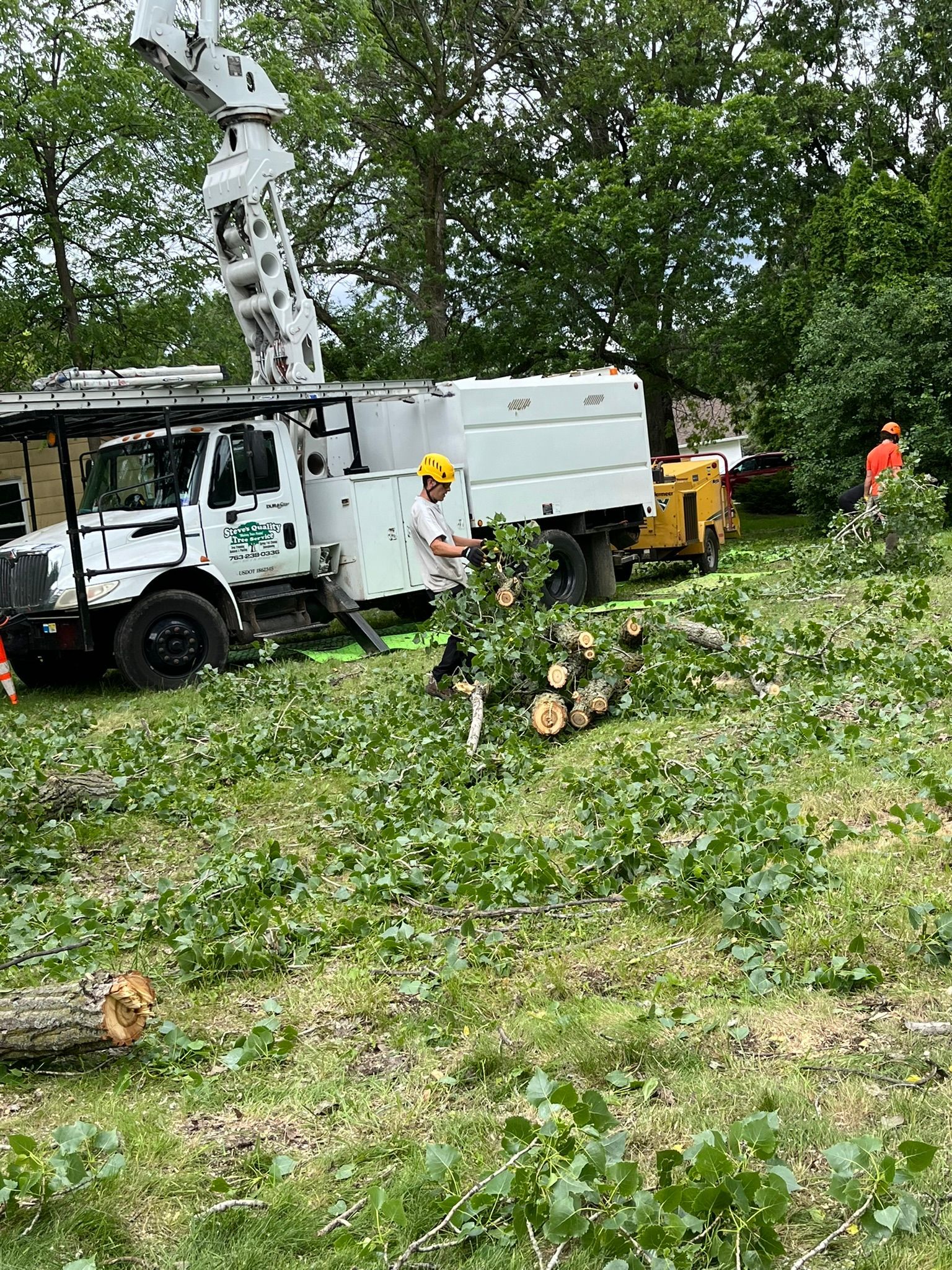 A man is cutting a tree with a chainsaw in a field.