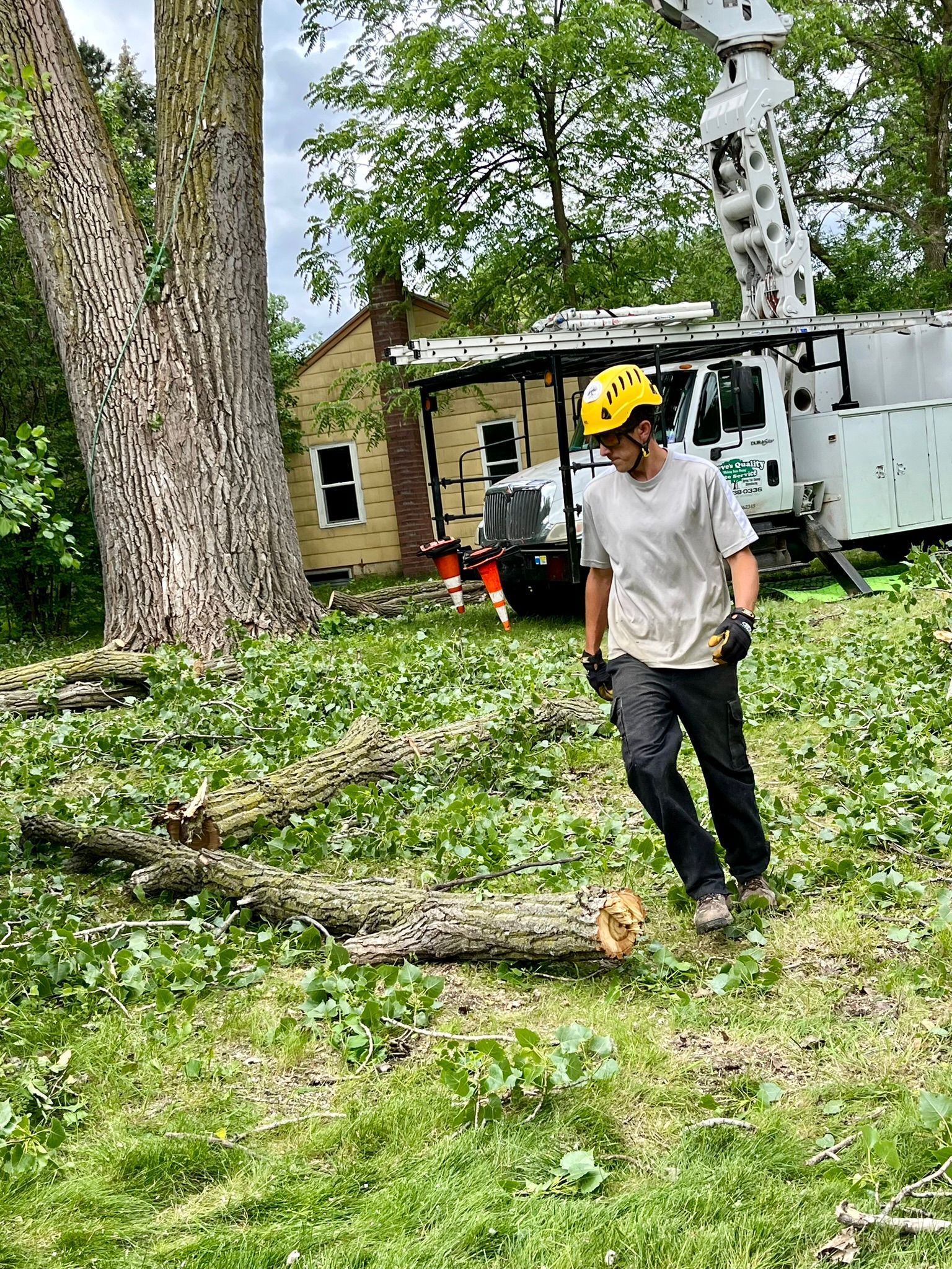 A man is standing in a field next to a tree that has been cut down.