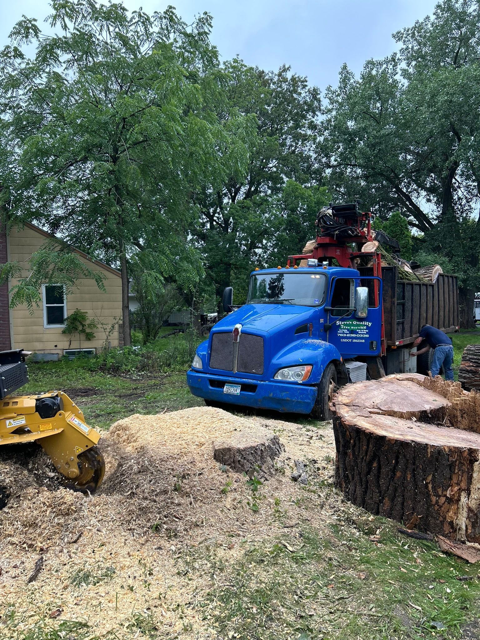 A blue truck is parked next to a large tree stump.