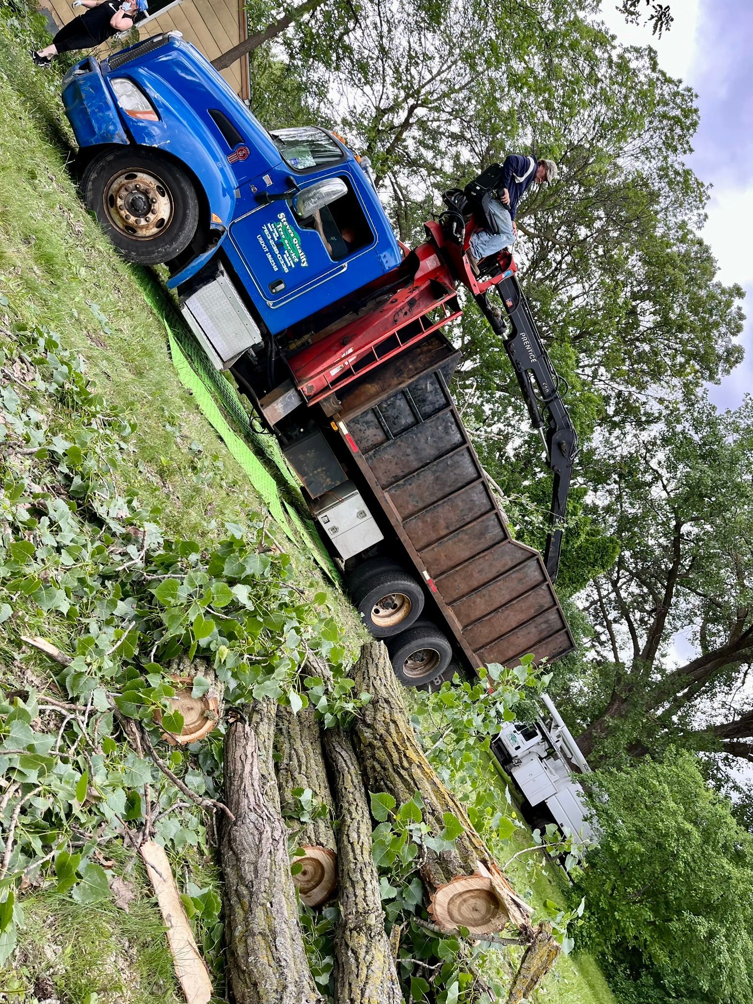 A blue truck with a crane attached to it is carrying a large tree trunk.
