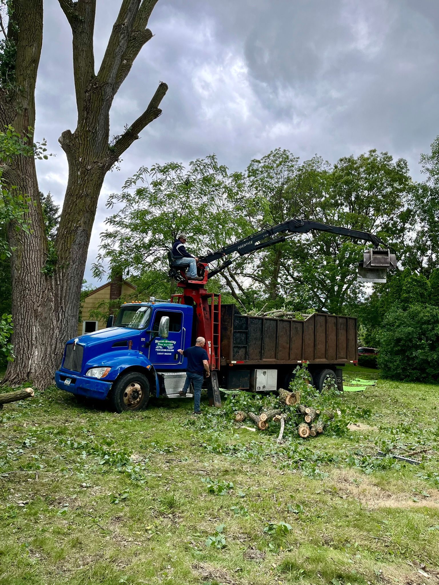 A blue truck with a crane attached to it is cutting a tree.