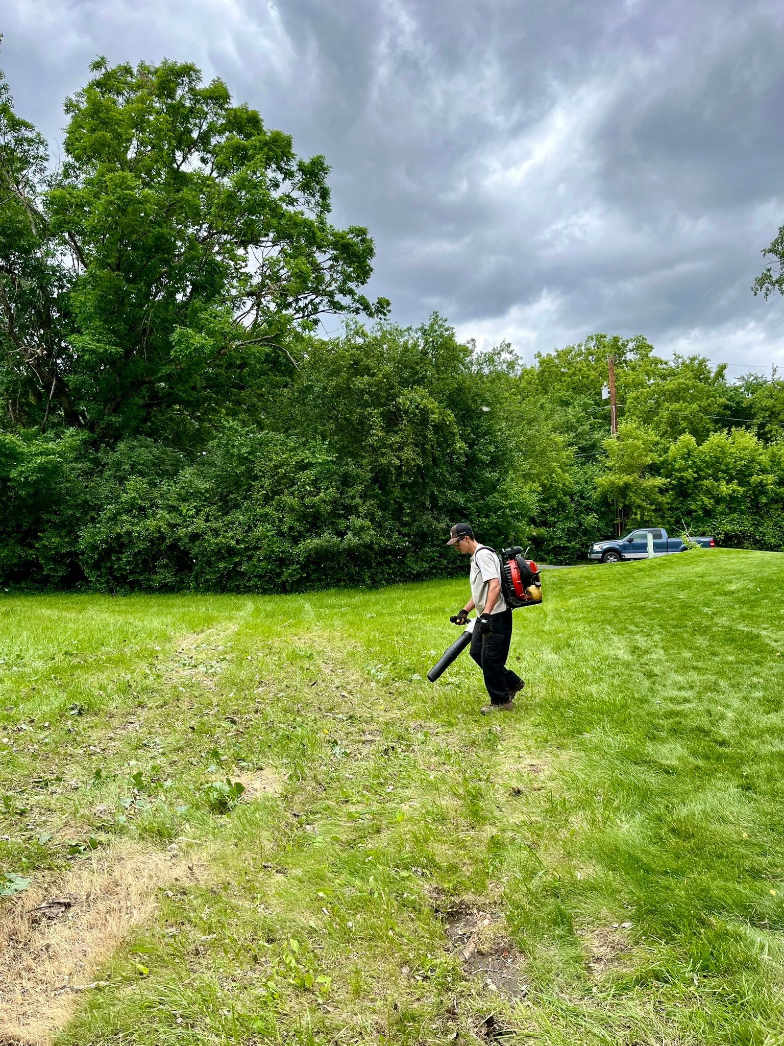 A man is blowing grass in a field with a backpack.